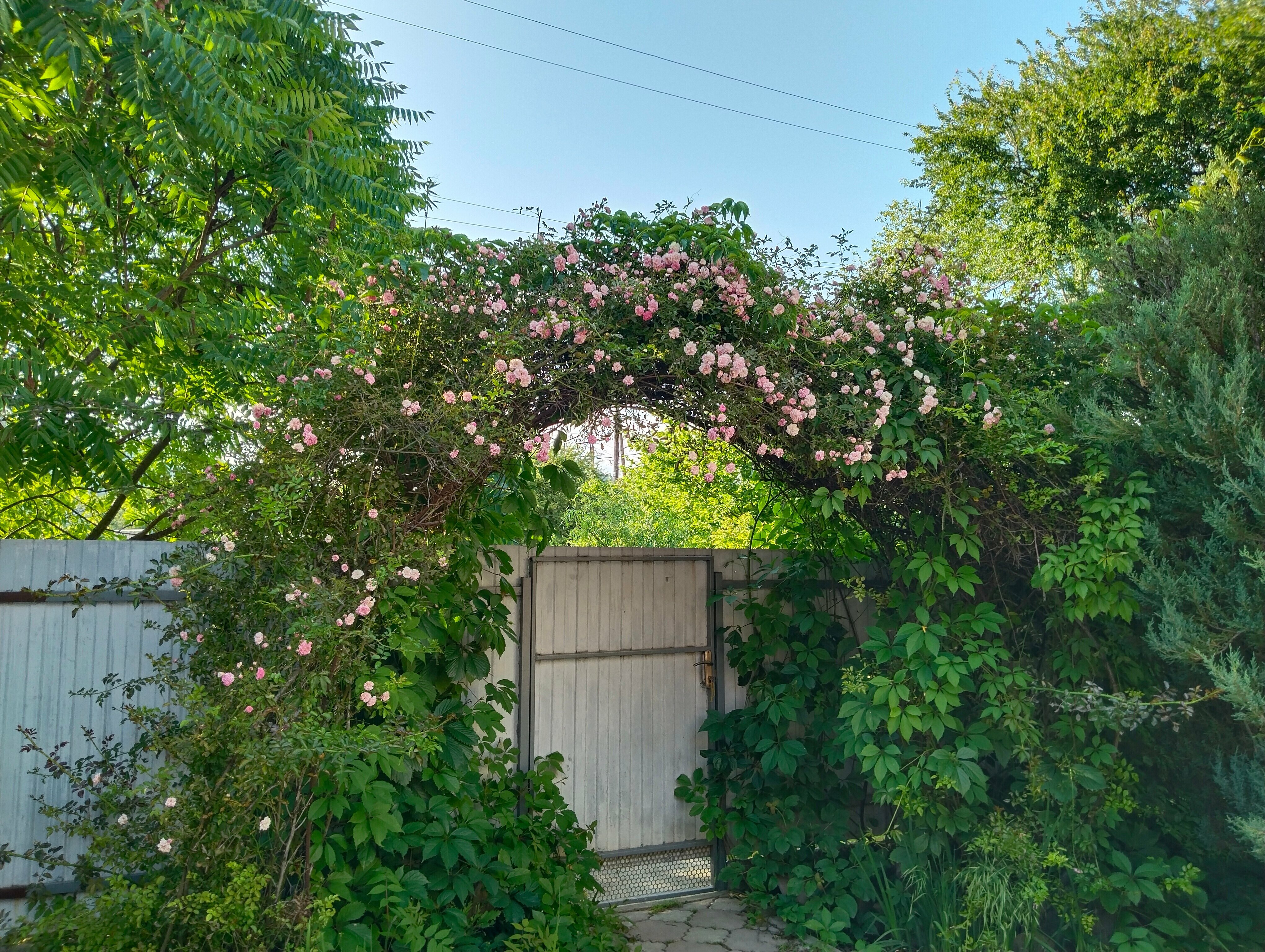 Дом в центре "Хвойный дворик"