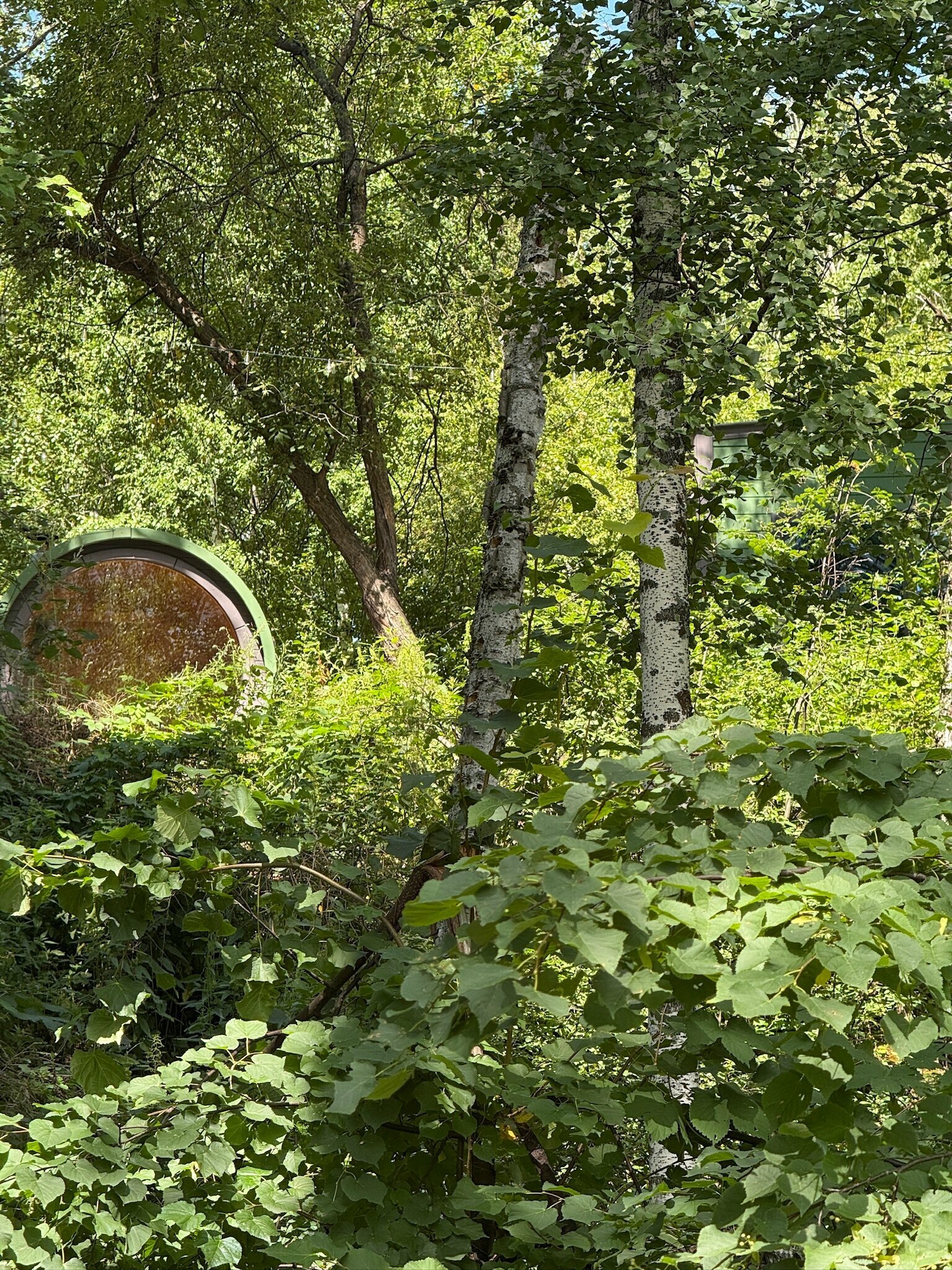 Дом с видом на лес