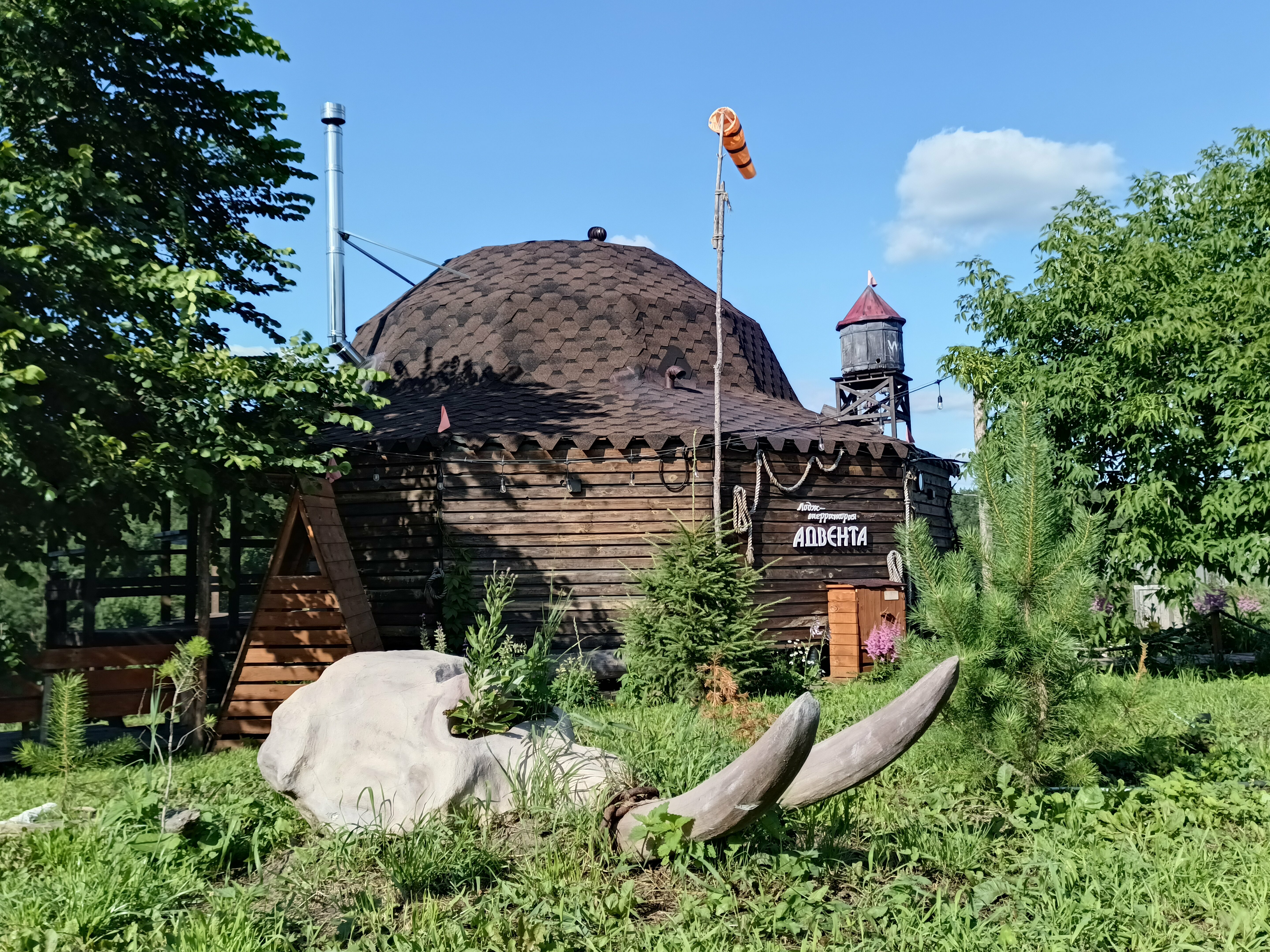 Дом с видом на лес