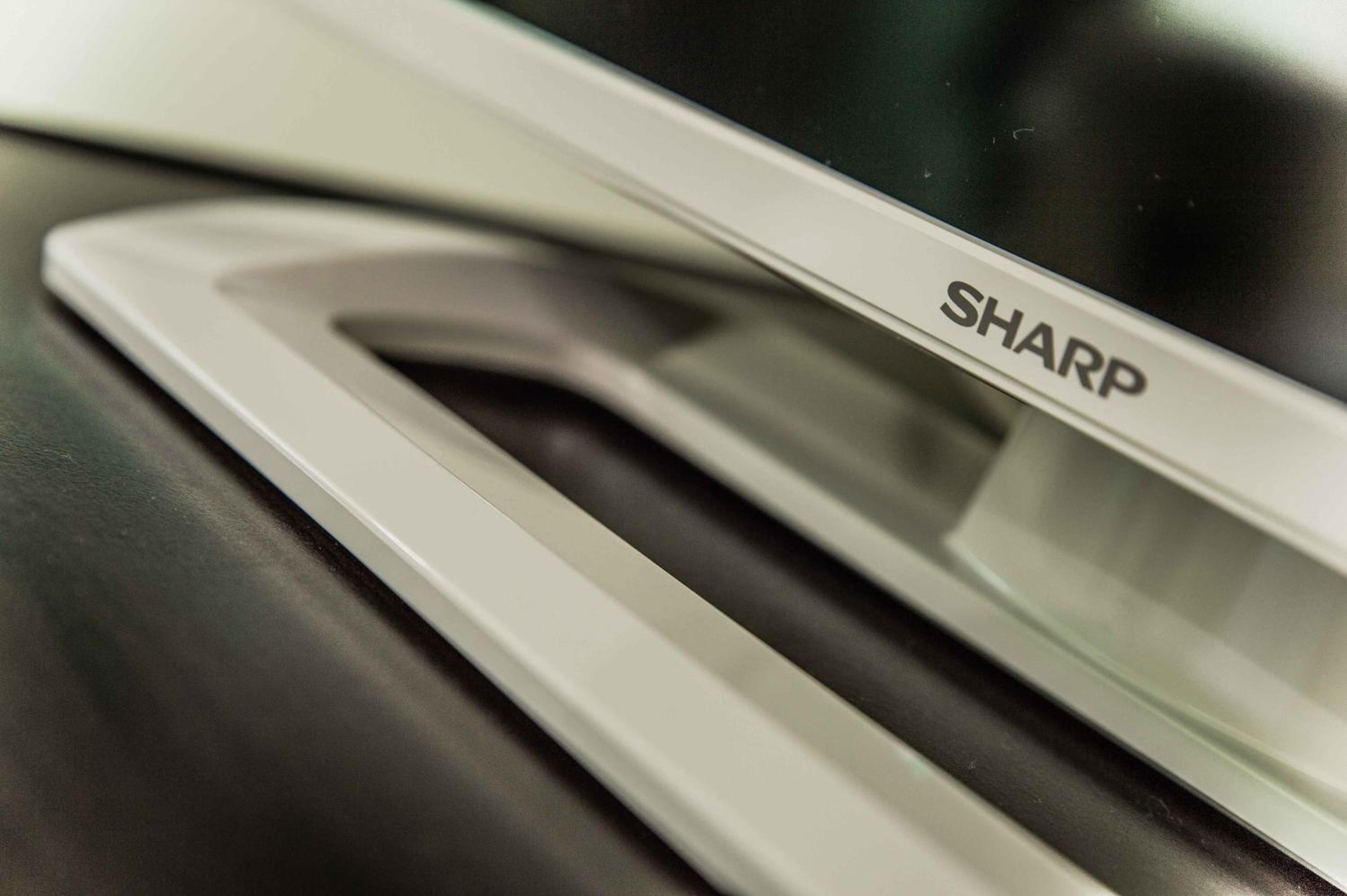 Family Room (4 Adults)