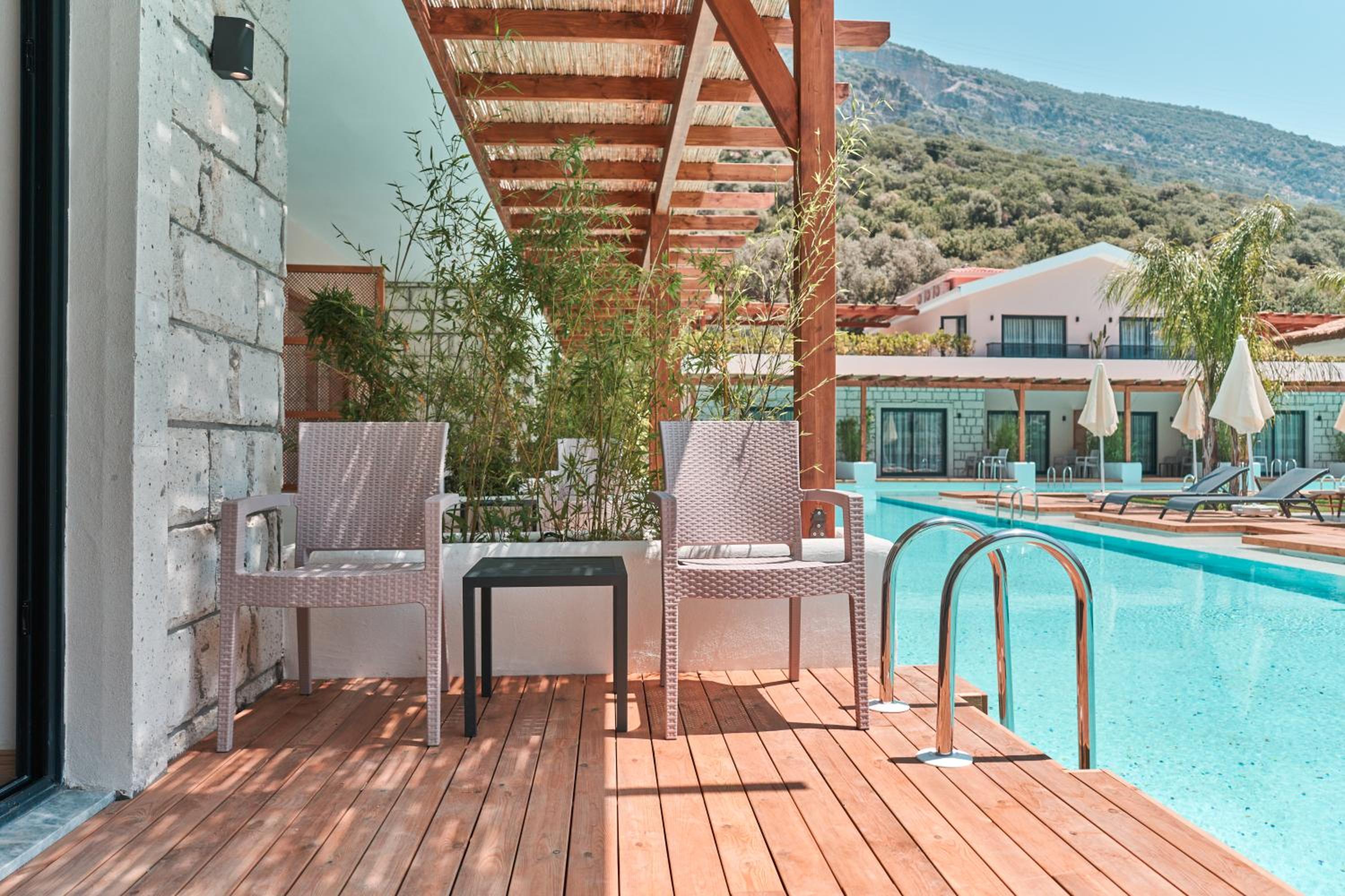 Double Room with Swimming Pool Access