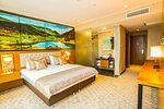 Deluxe Room, City View в Aselia Hotel Trabzon