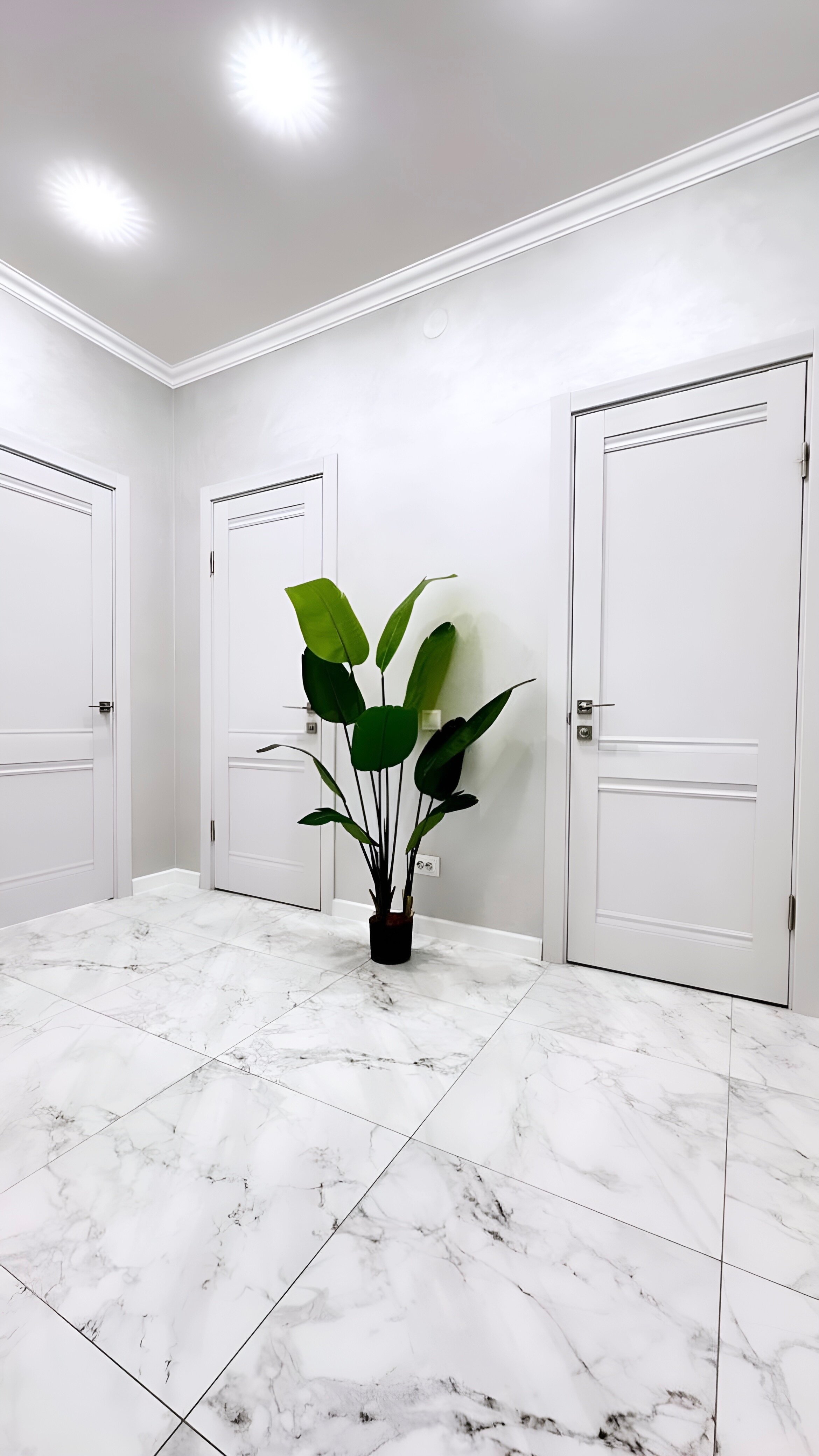 Апартаменты-студия