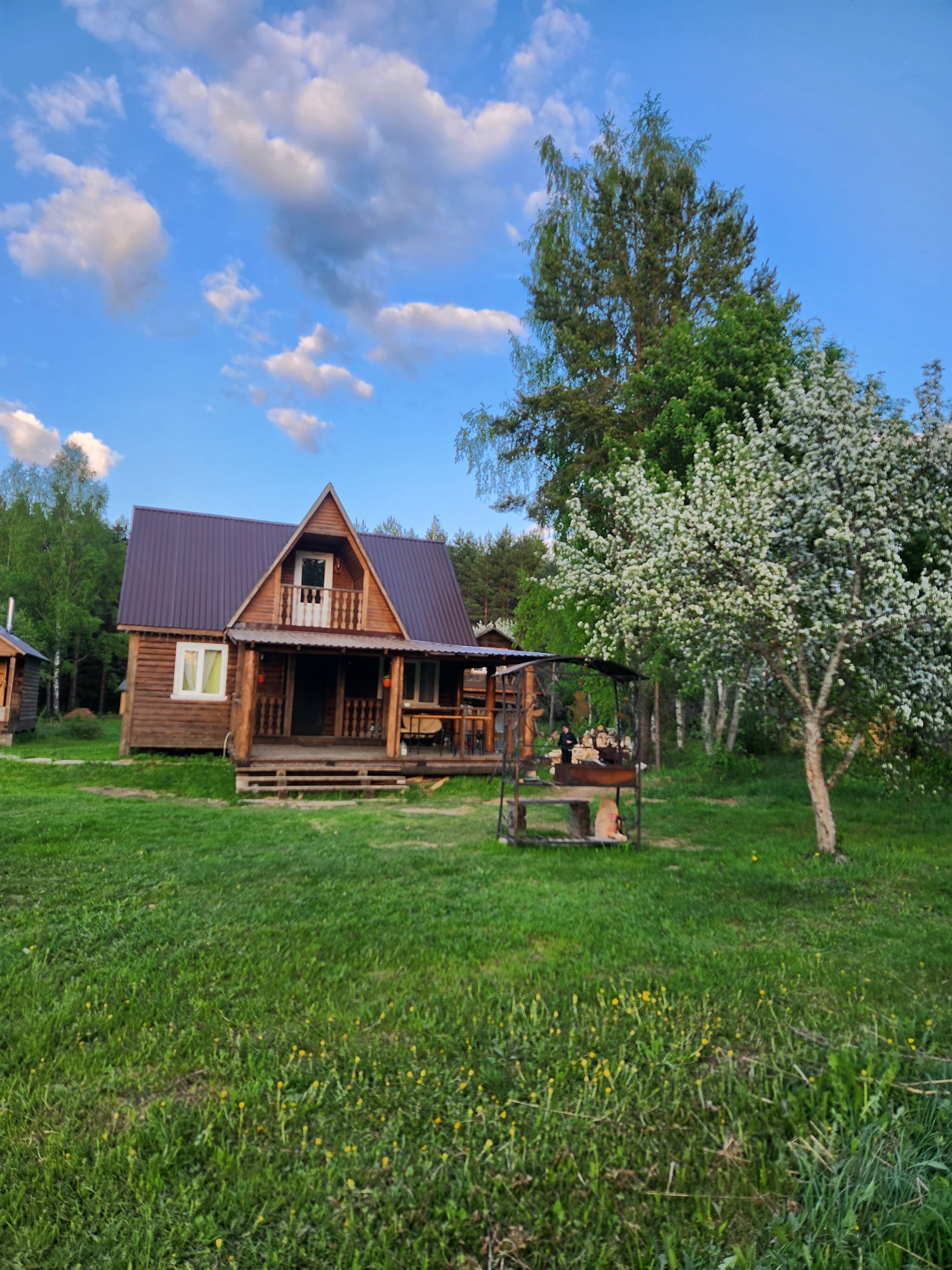 Коттедж с видом на лес