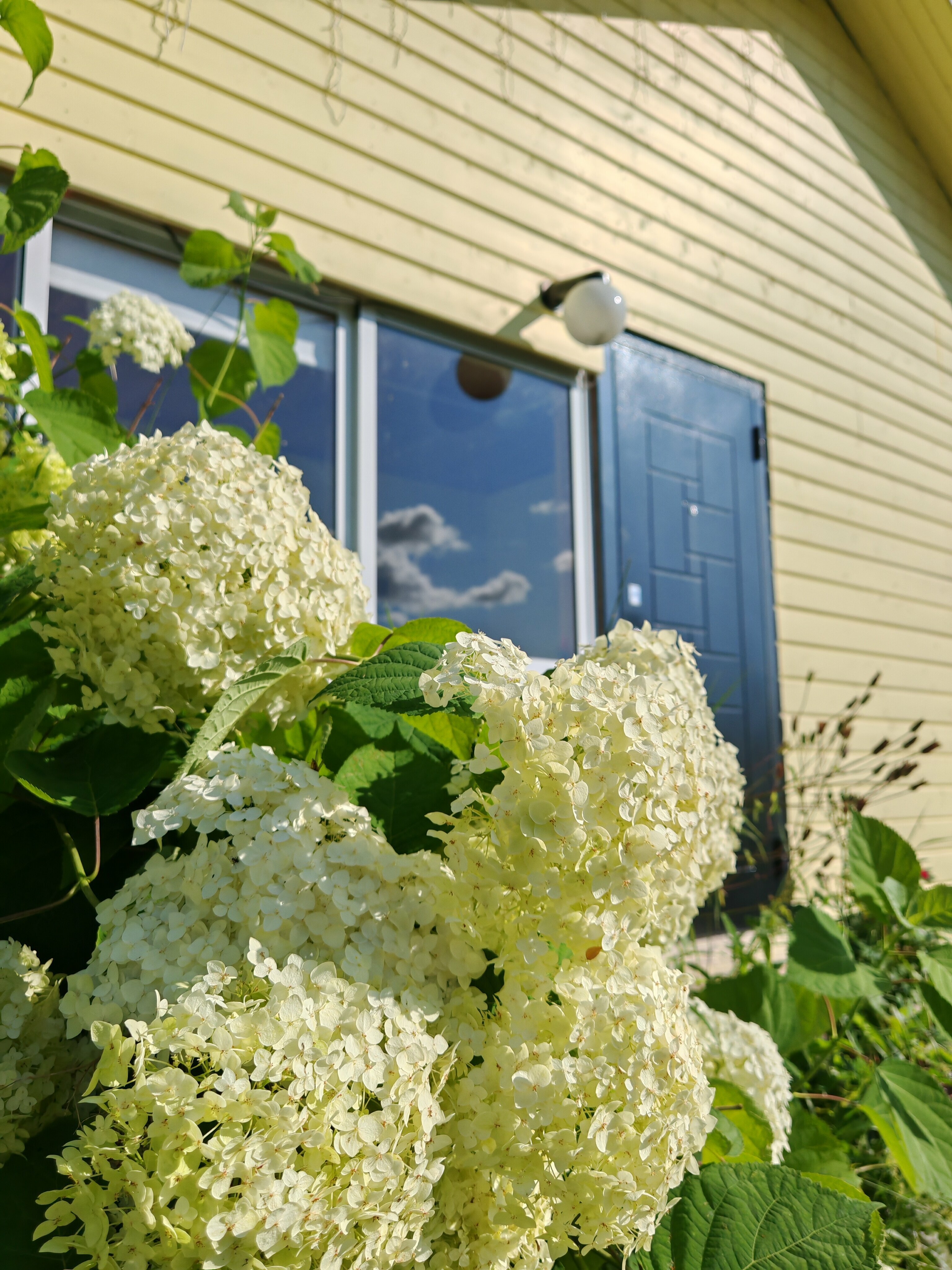 Дом с 1 спальней