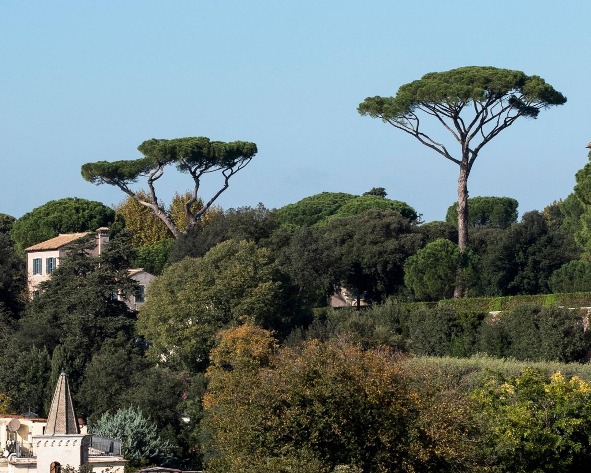 Deluxe Double or Twin Room with Balcony
