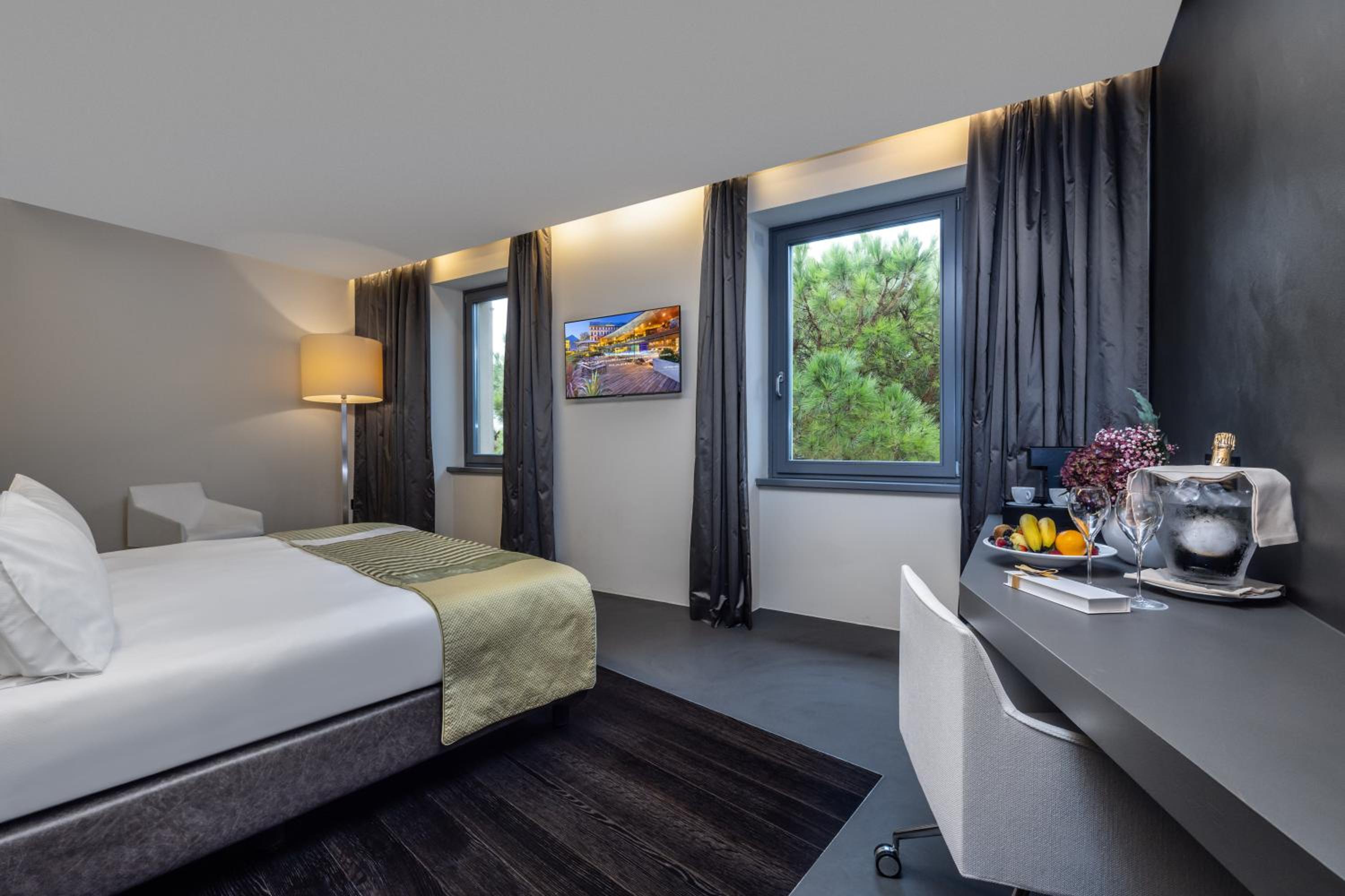 Double or Twin Room with Mountain View