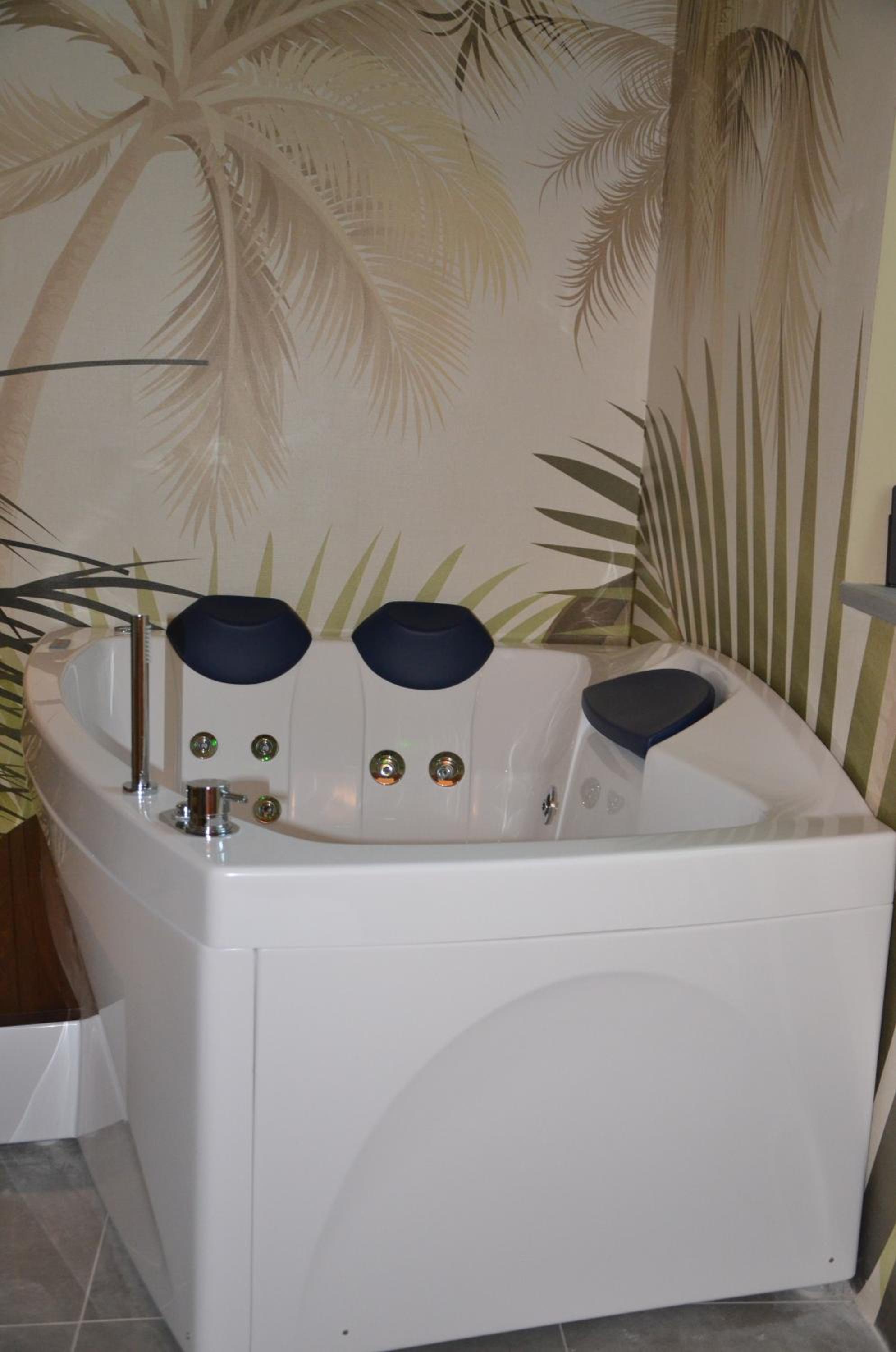 Deluxe Double or Twin Room with Private Spa