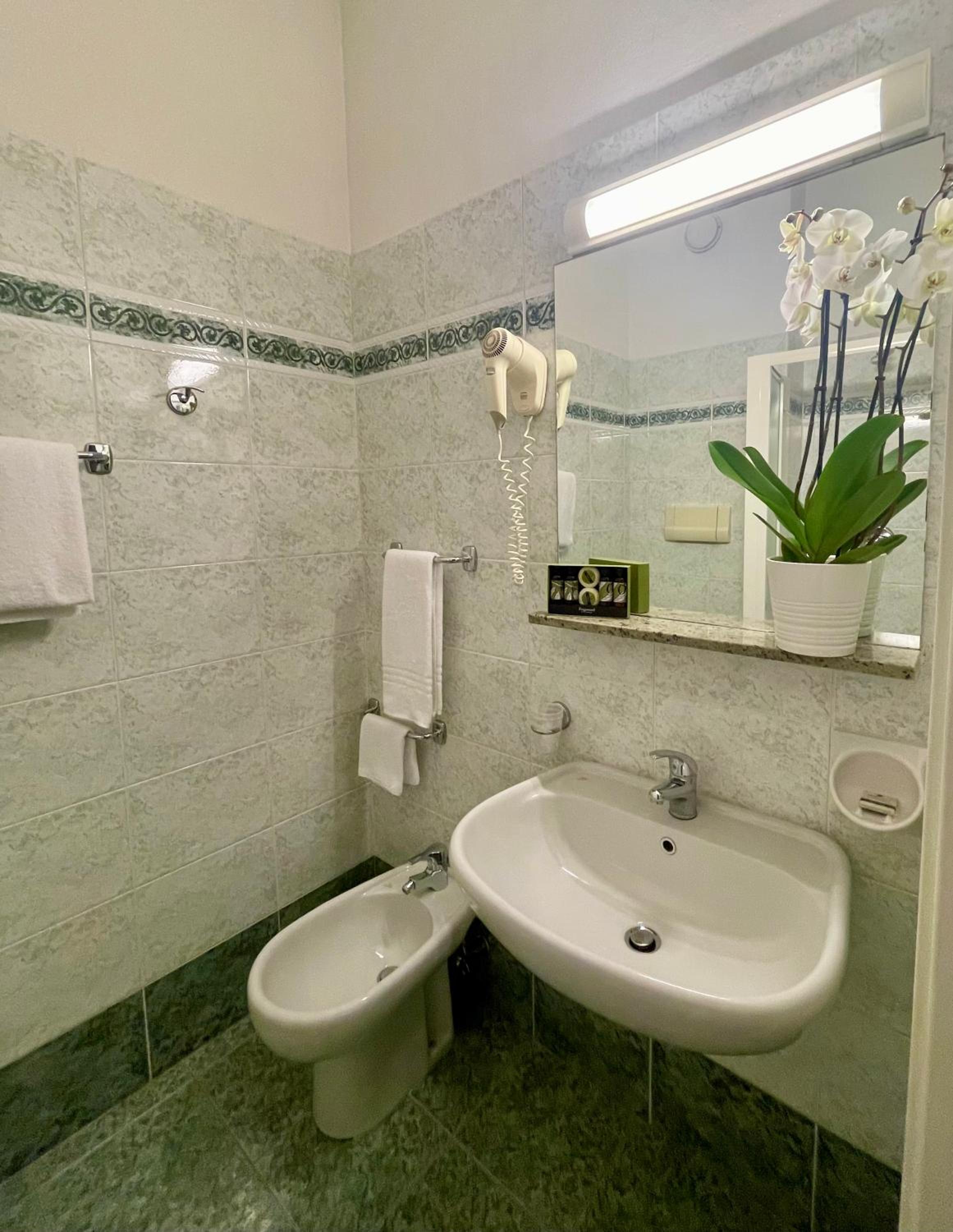 Double or Twin Room
