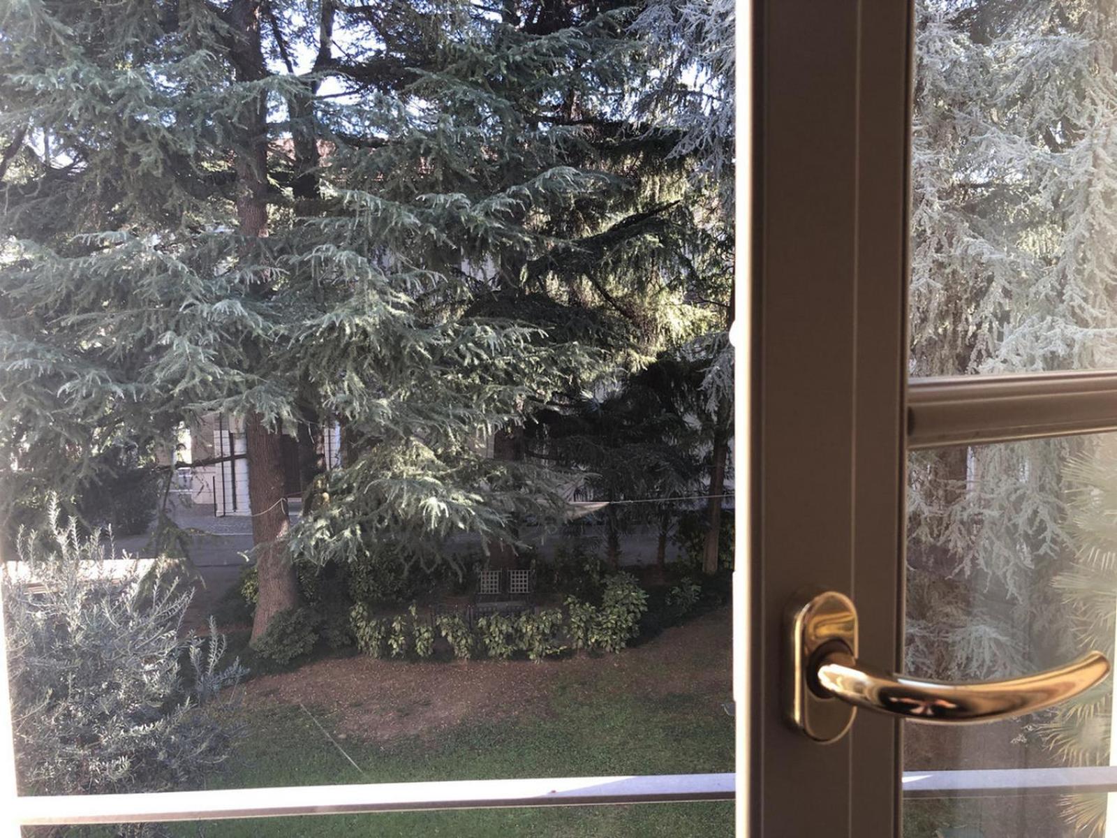 Single Room with Garden View