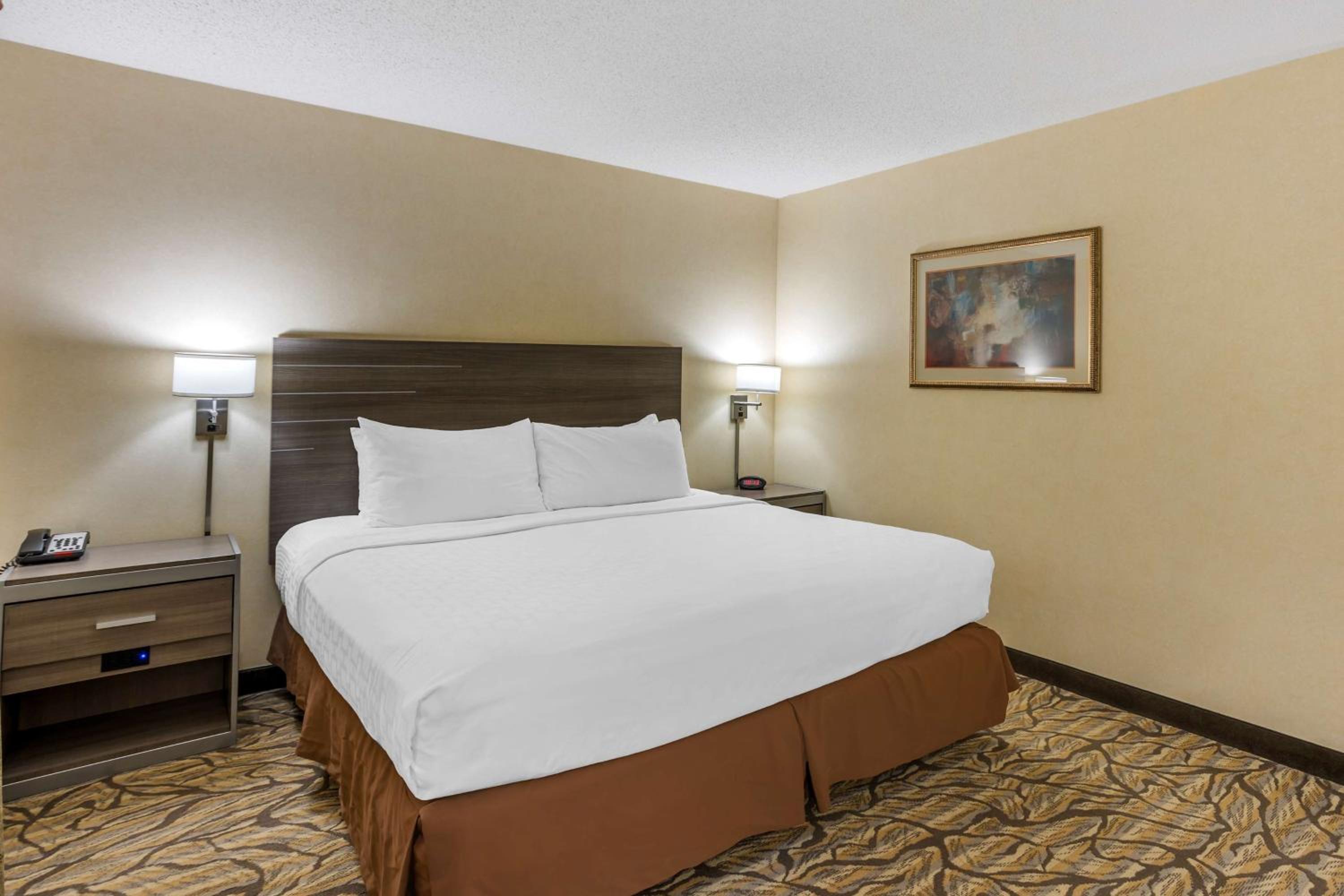 King Room - Non-Smoking