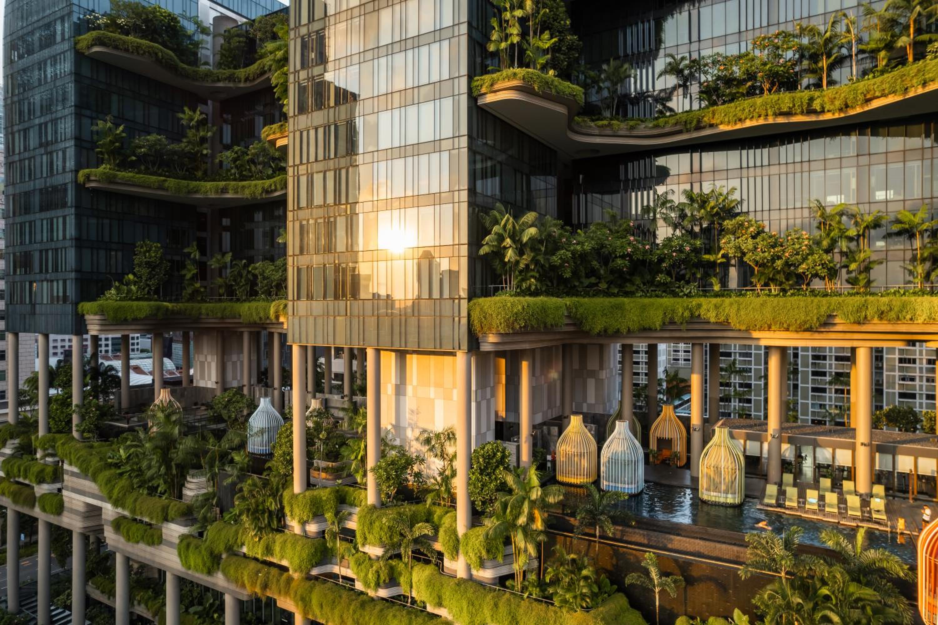 Special Offer - Urban Deluxe King or Twin