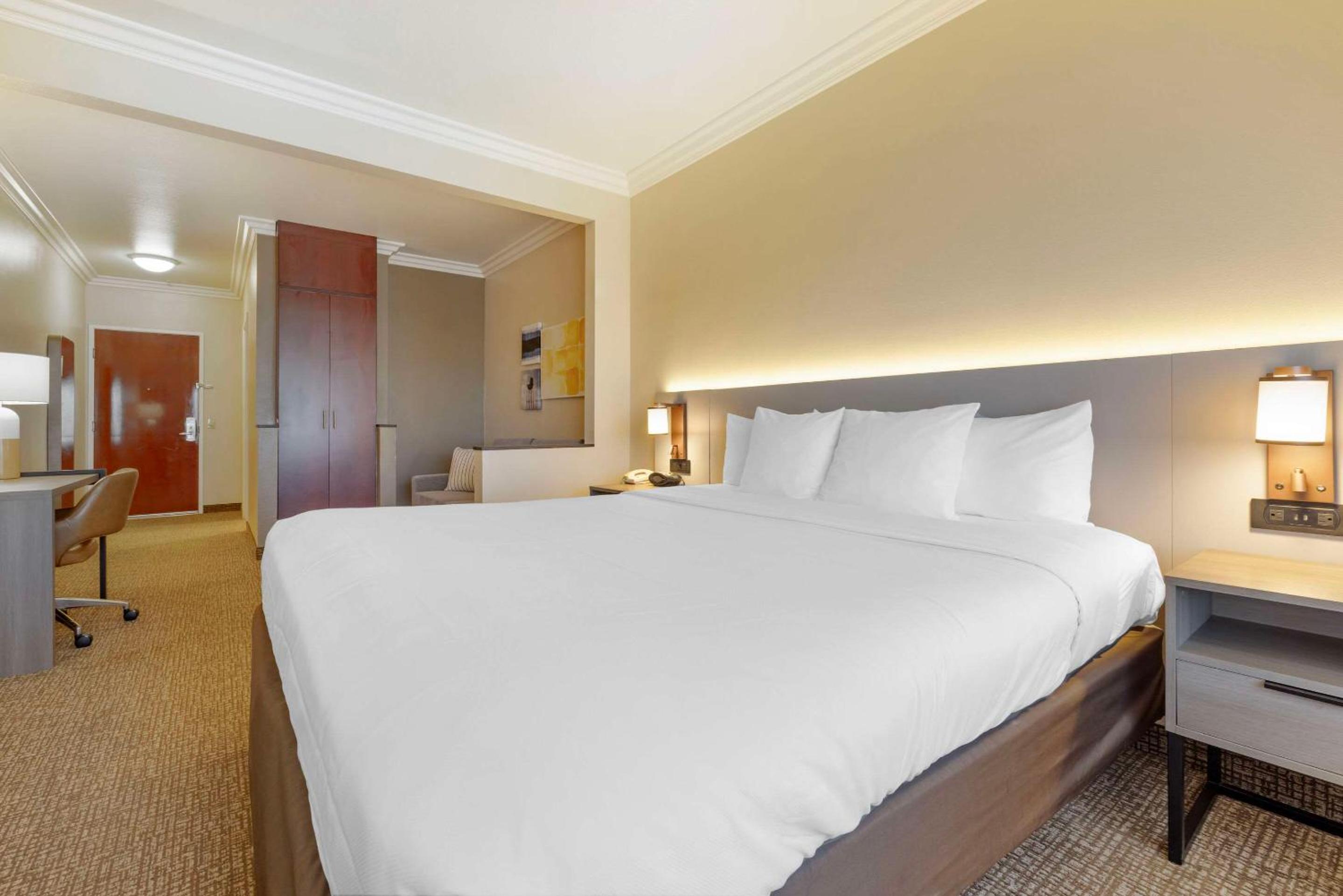 Accessible Junior Suite, 1 King Bed, Sofa Bed, Tub, Non Smoking