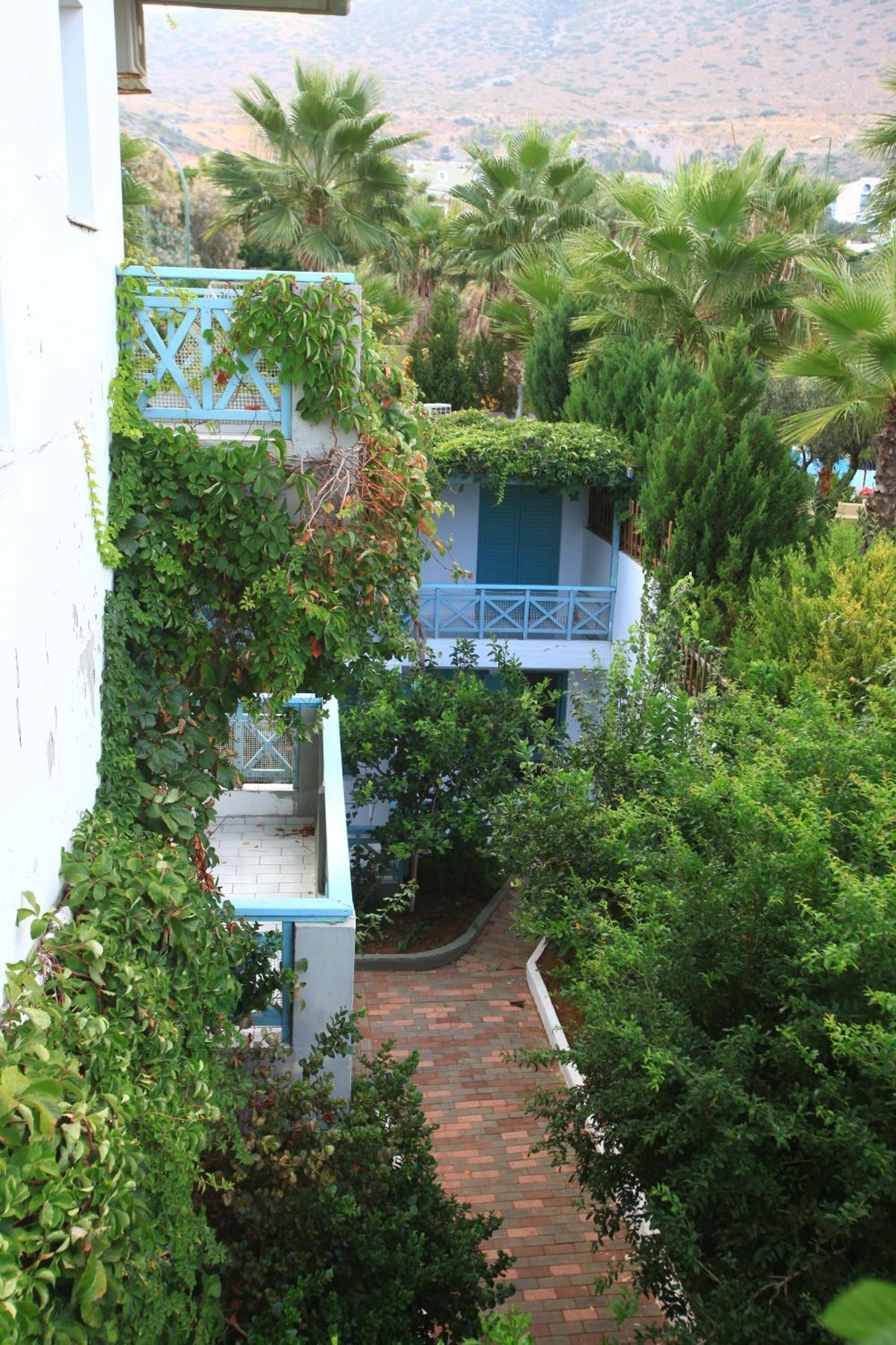 Triple Standard Studio