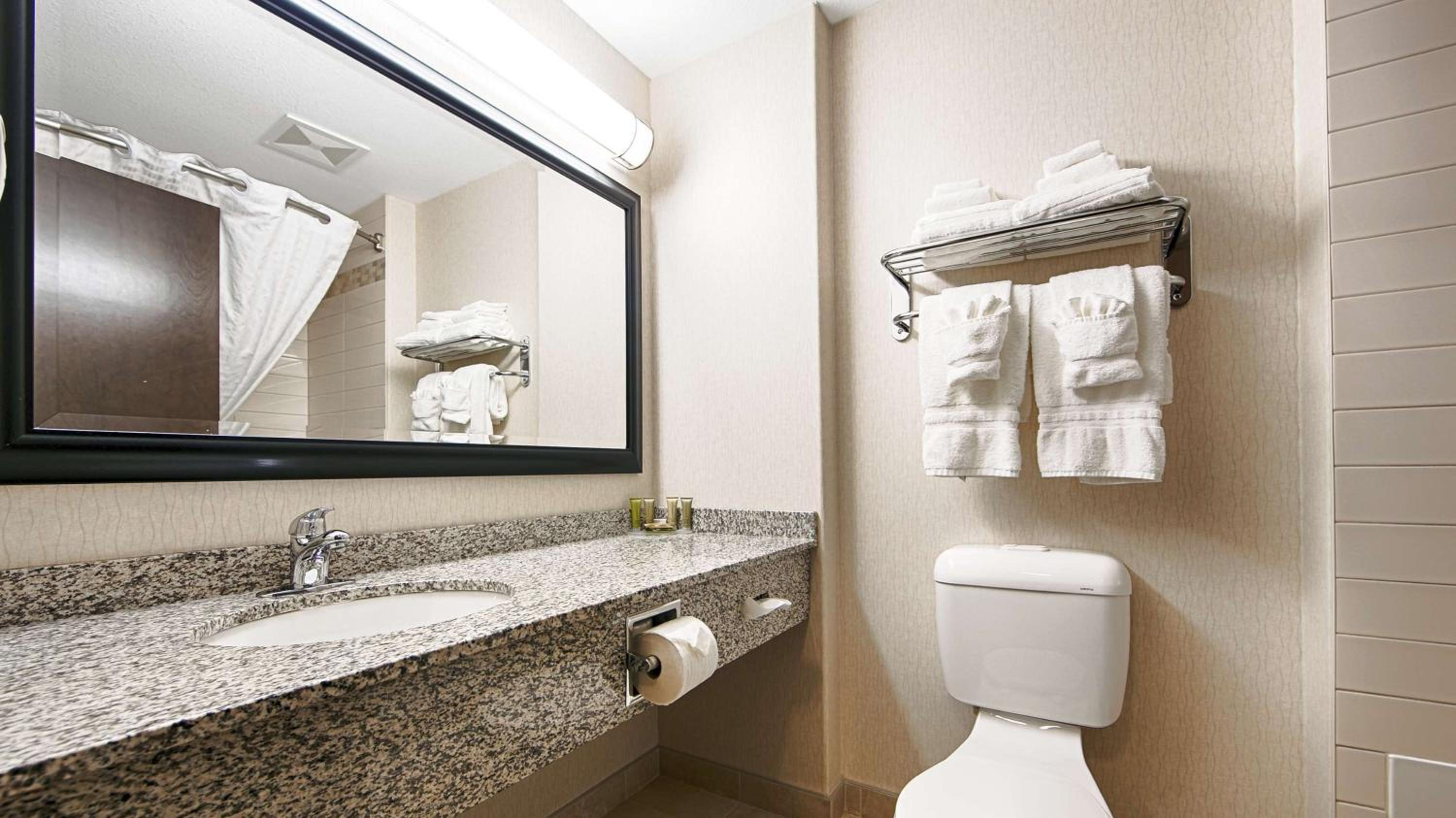 Single Queen Suite - Non-Smoking