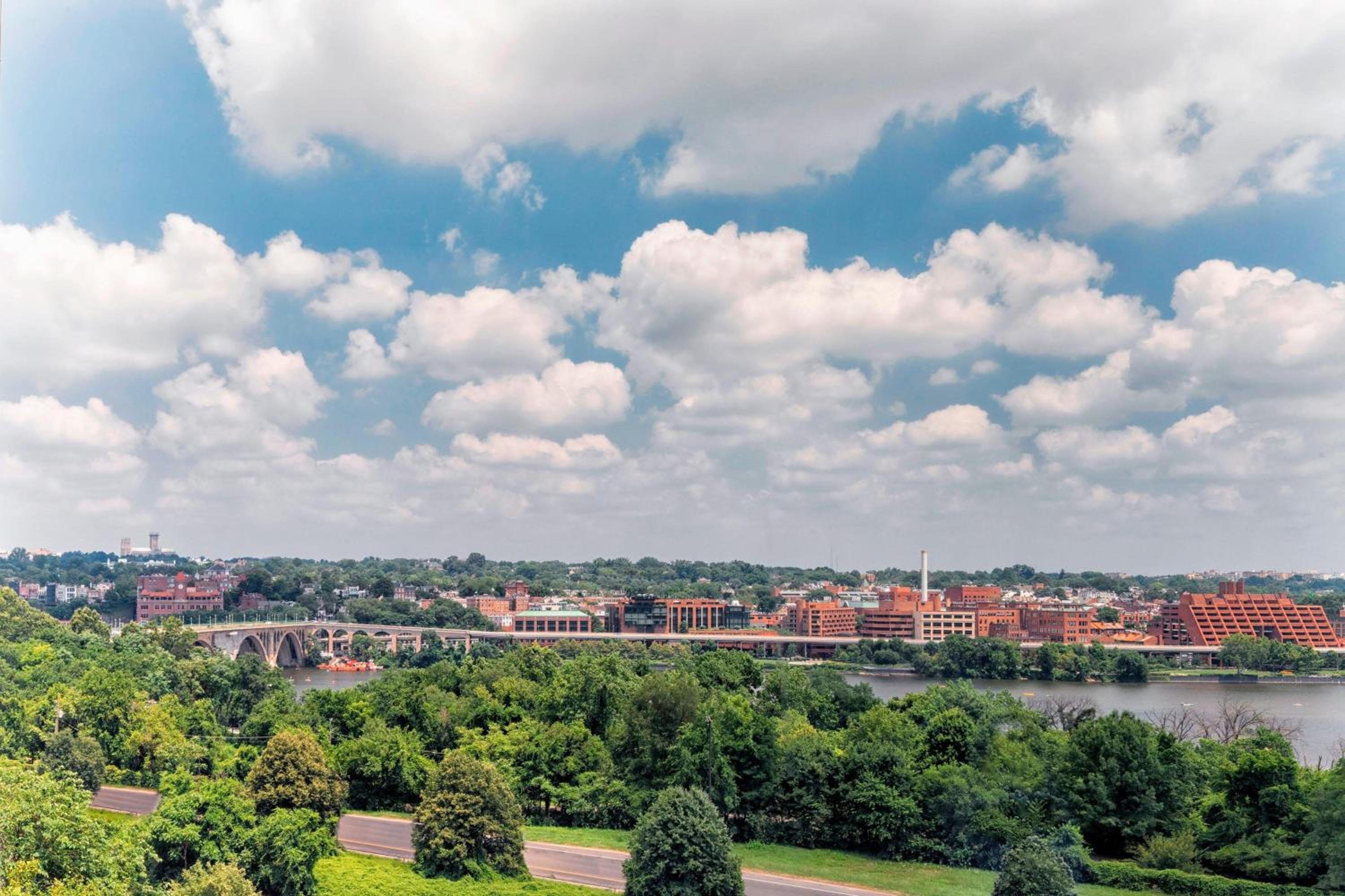 One-Bedroom King Suite with Sofa Bed - Non-Smoking