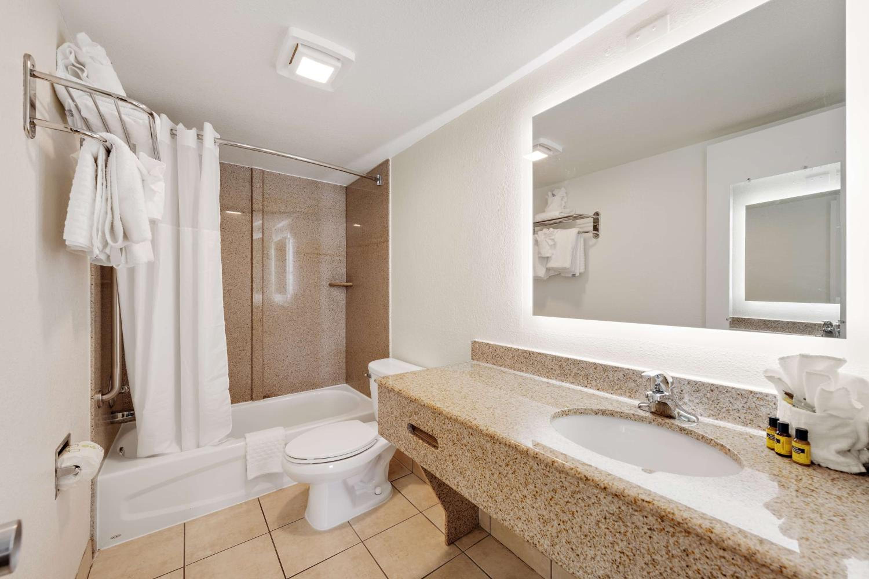 King Suite - Non-Smoking/ Pet Friendly Room