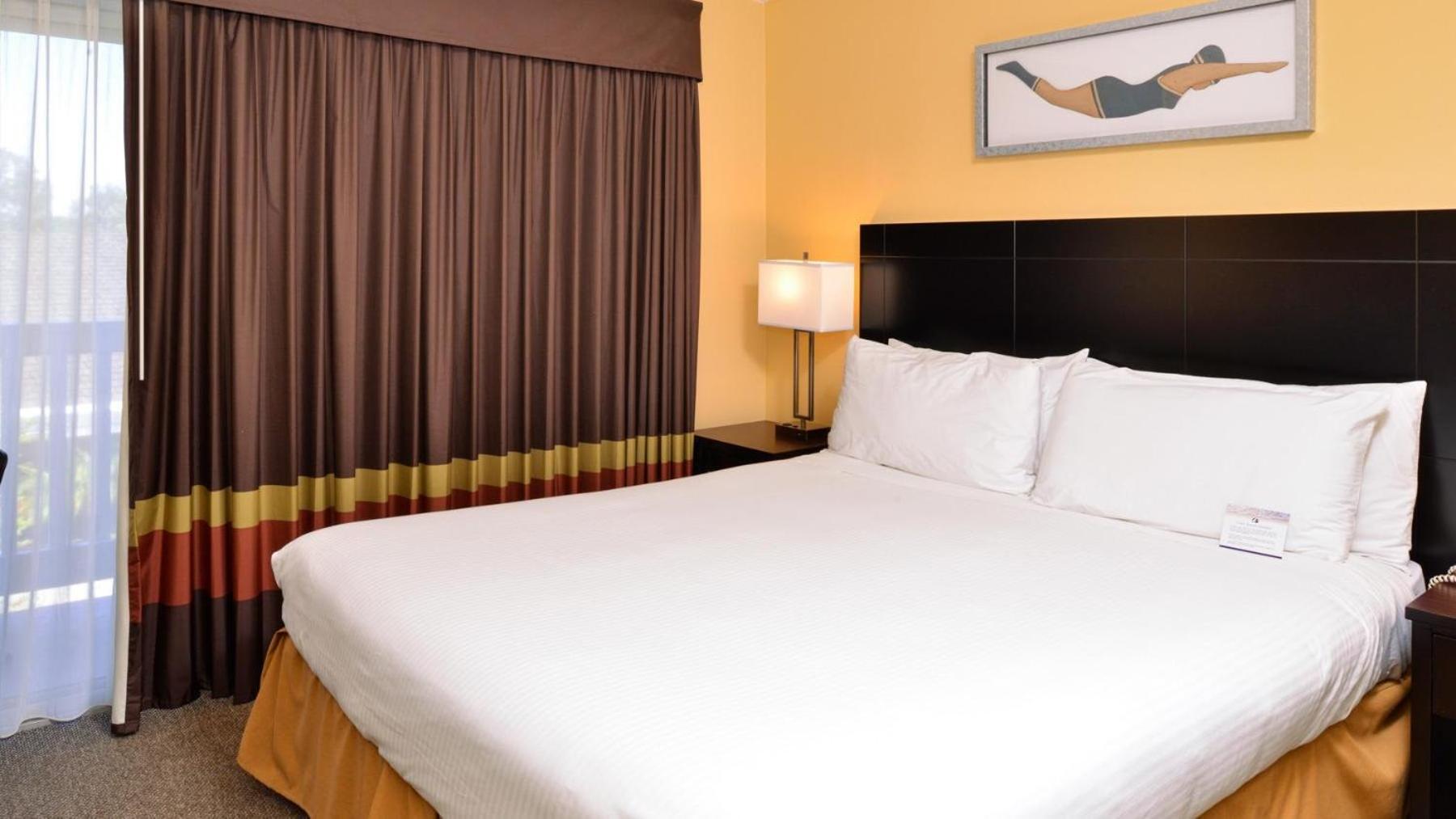 King Room with Roll-In Shower - Disability Access