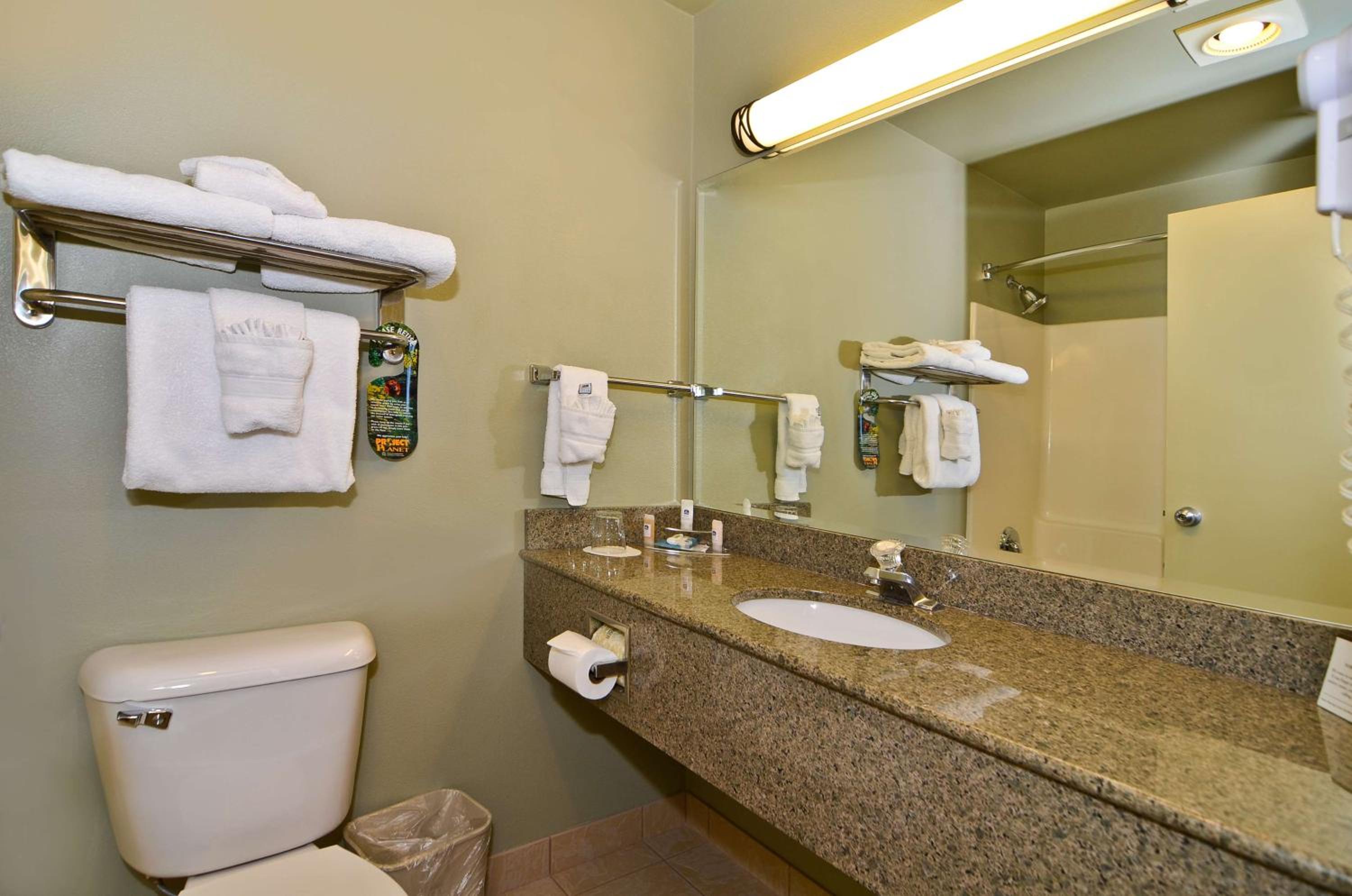 One-Bedroom King Suite with Sofa Bed - Non-Smoking