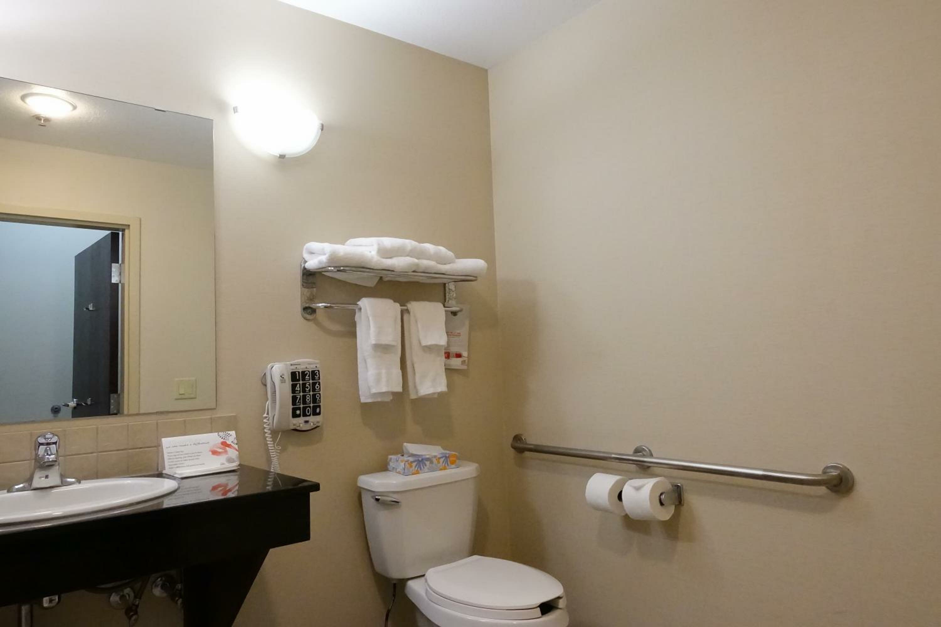 King Pet-Friendly Room with One King Bed and Roll-In Shower - Mobility Accessible - Non-Smoking