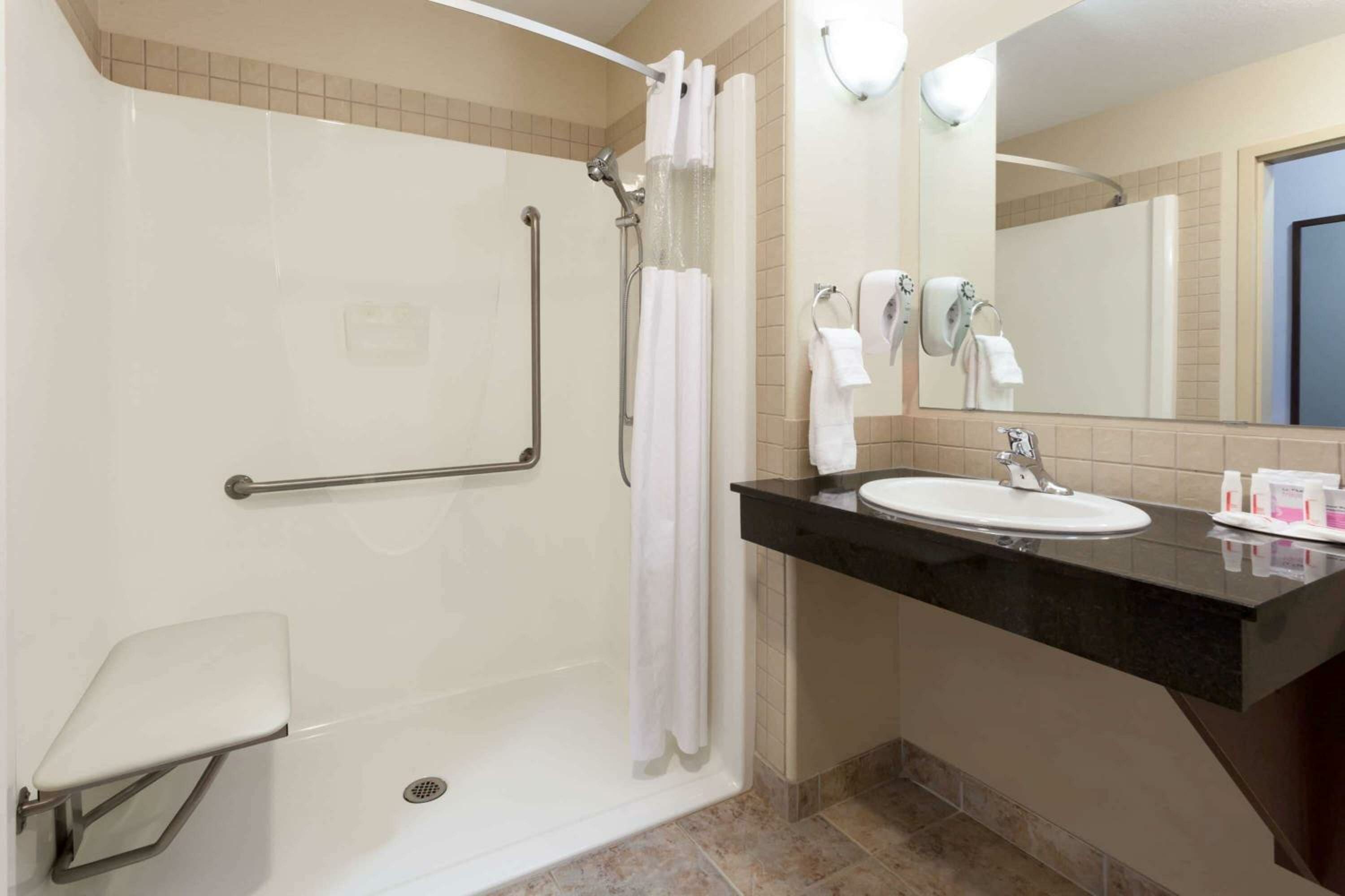 King Pet-Friendly Room with One King Bed and Roll-In Shower - Mobility Accessible - Non-Smoking
