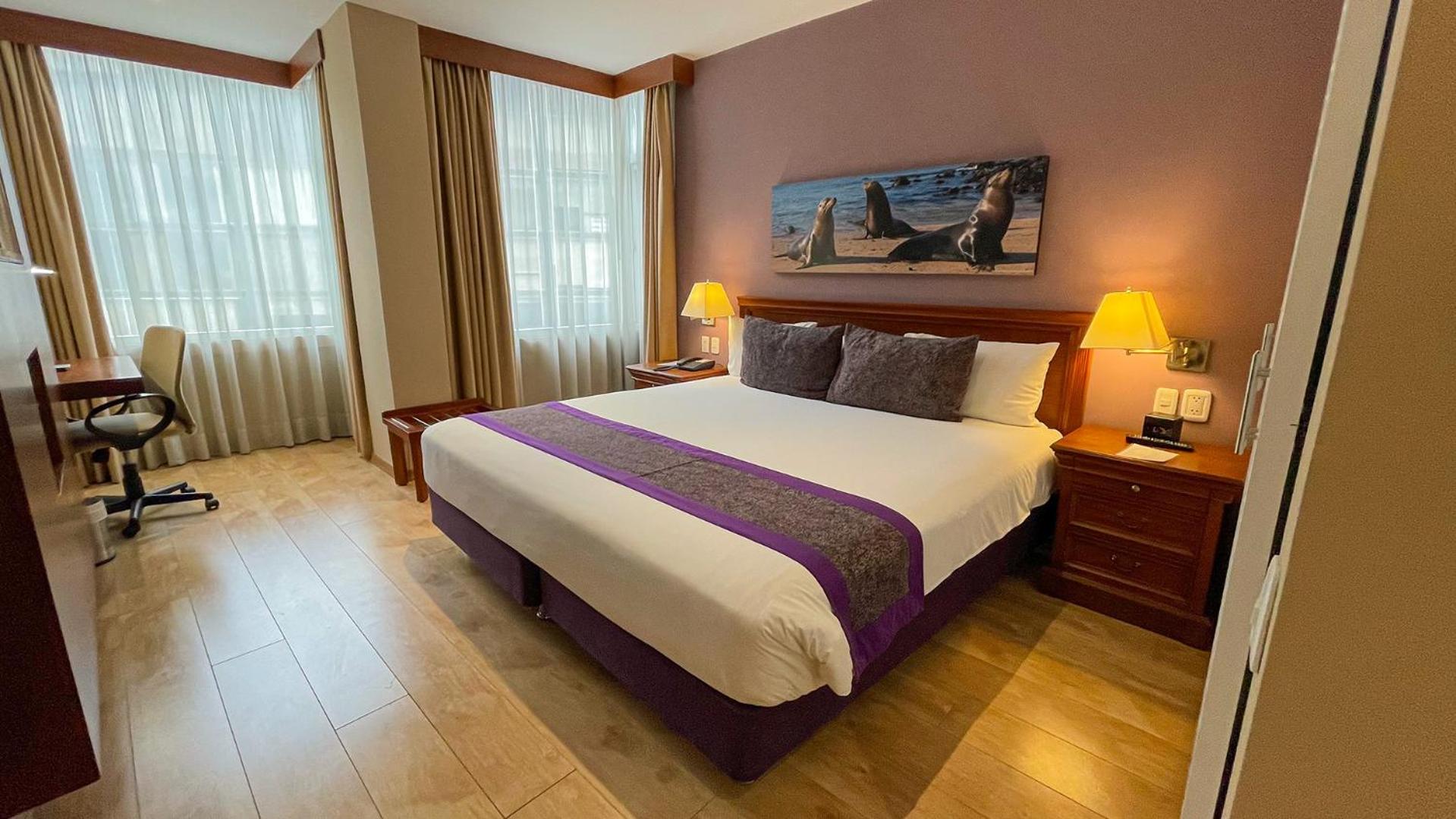 Superior King Room with One King Bed