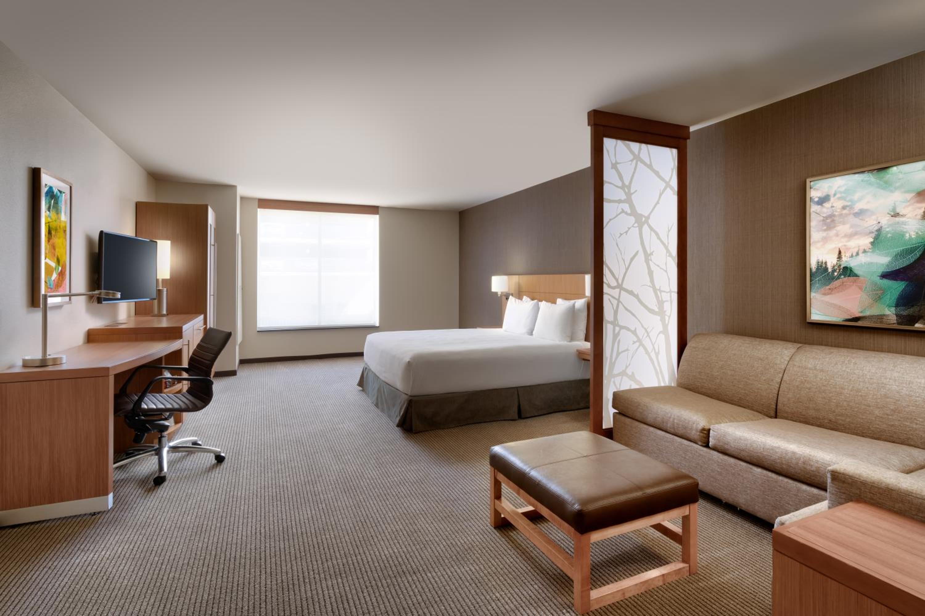 King Room with Sofa Bed and Accessible Tub