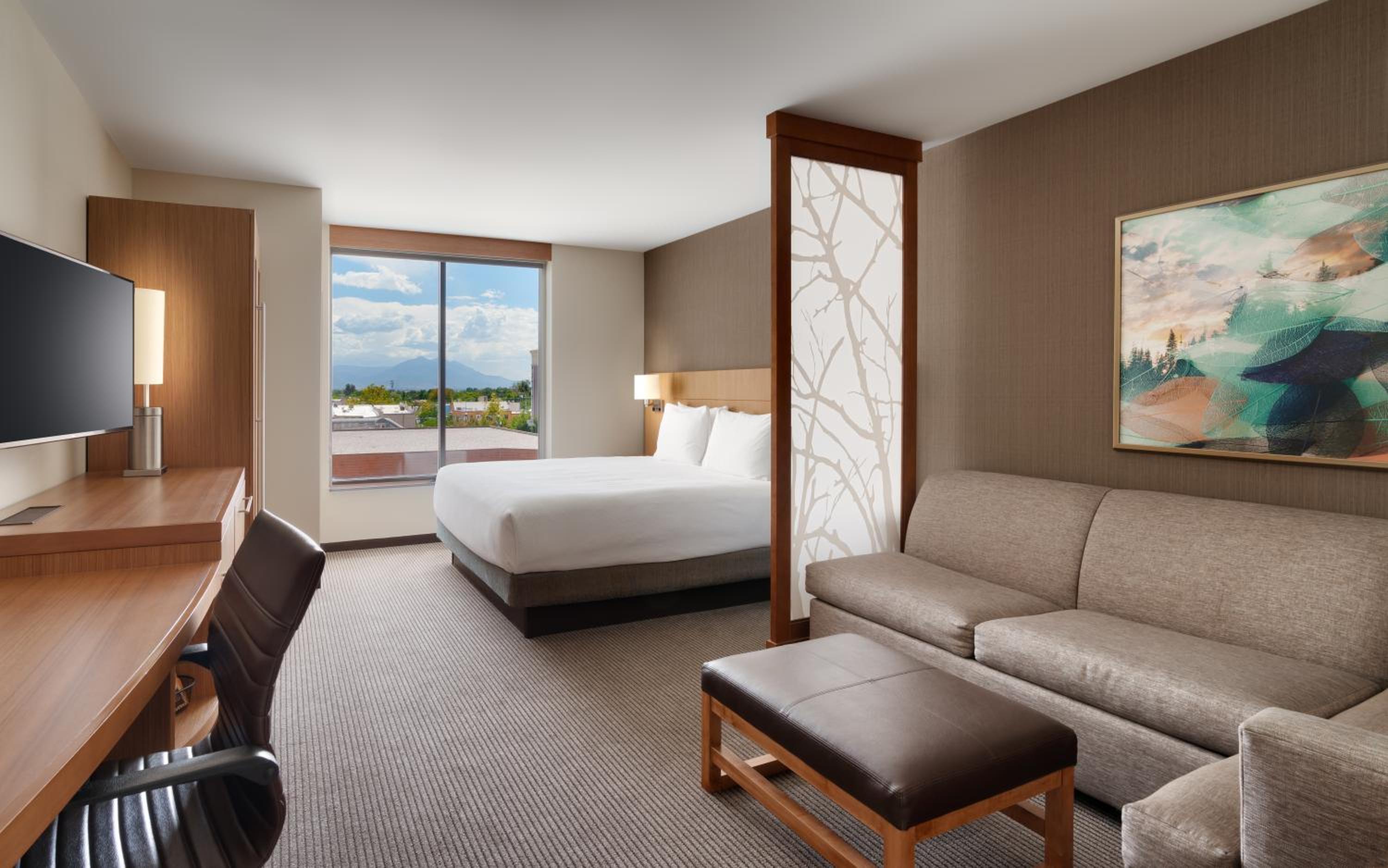 King Room with Sofa Bed