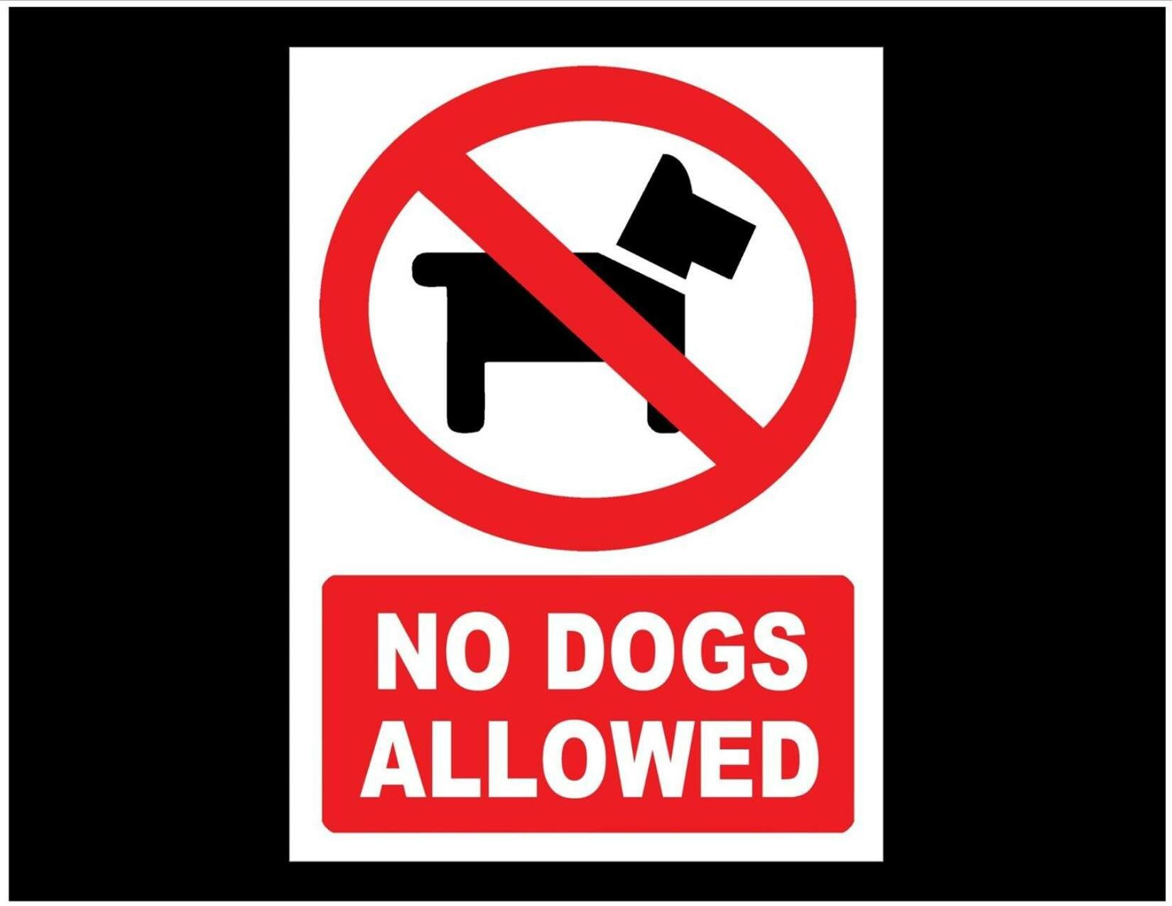 Deluxe King Room with River View - Patio - Oversize Room - No Pets