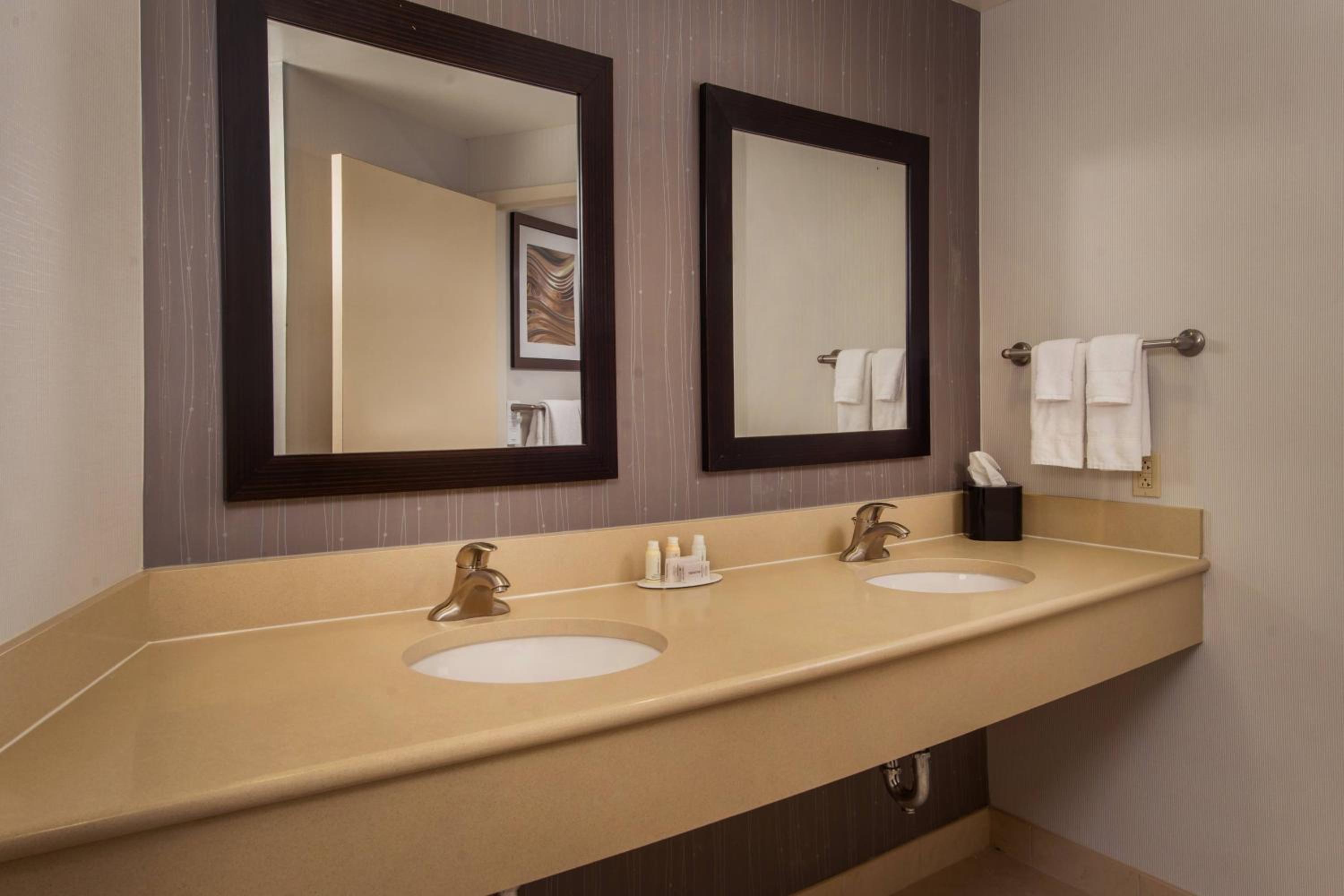 Executive King Suite with Sofa Bed