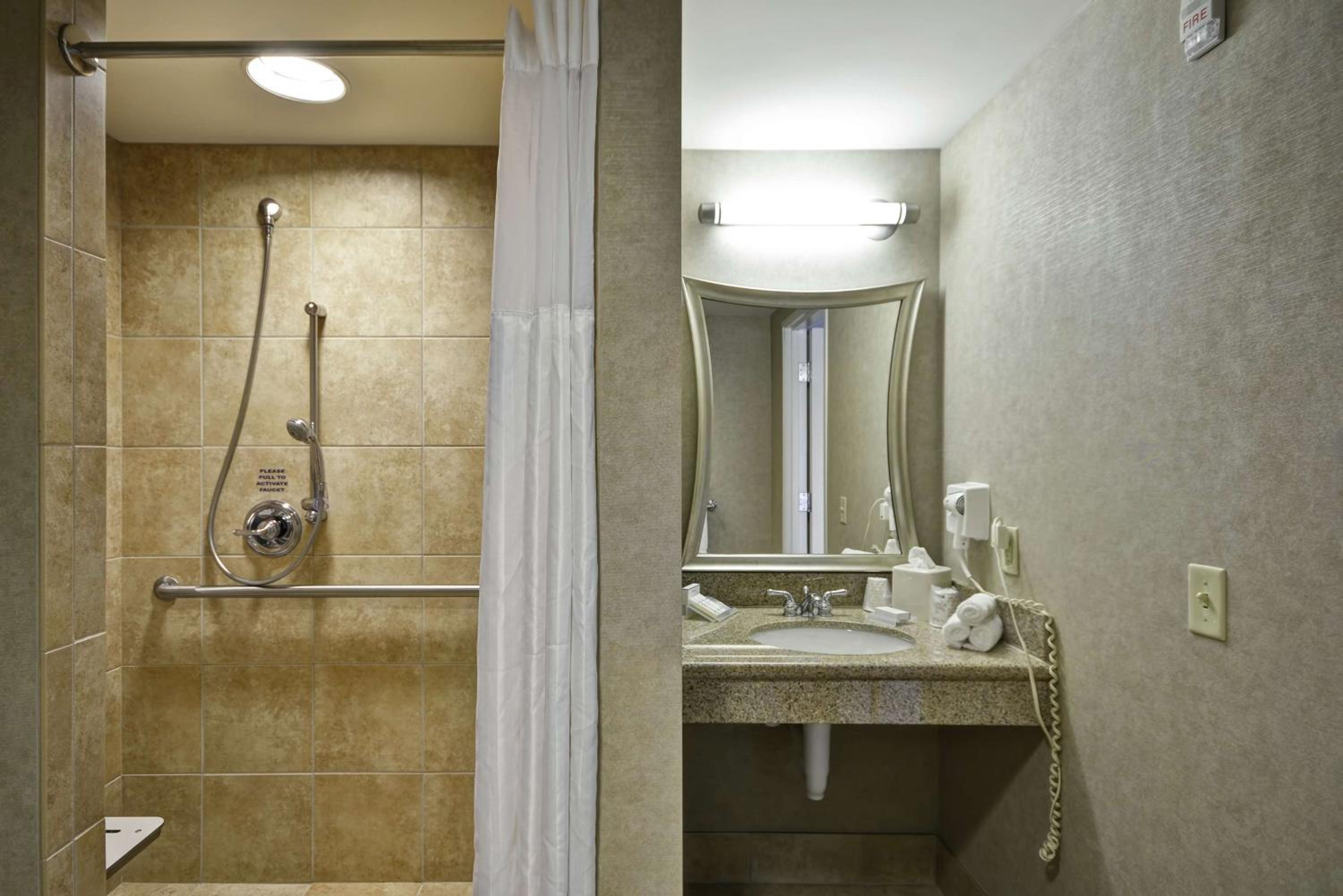 King Room with Roll-In Shower - Mobility Access