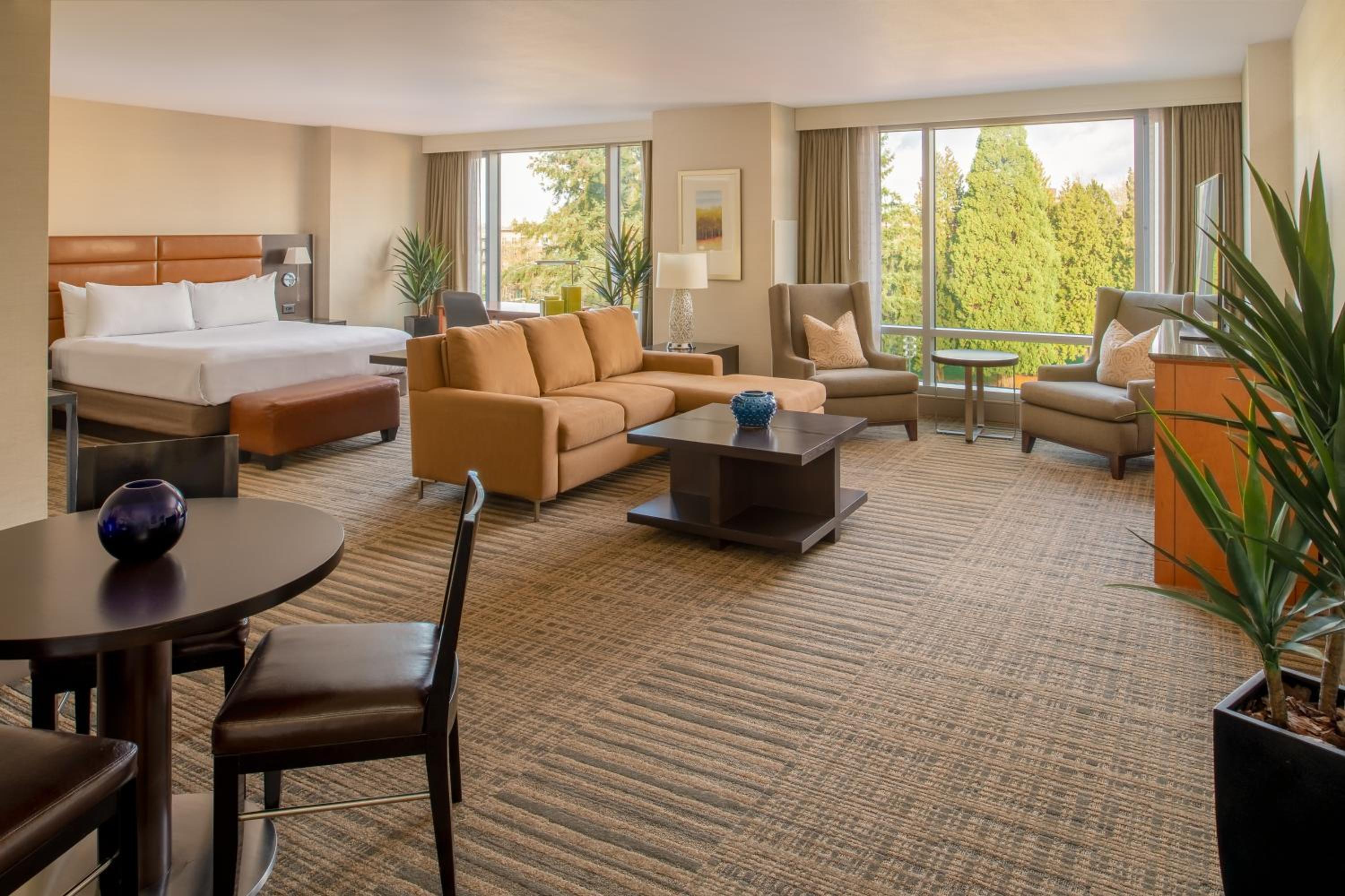 King Junior Suite with Park View