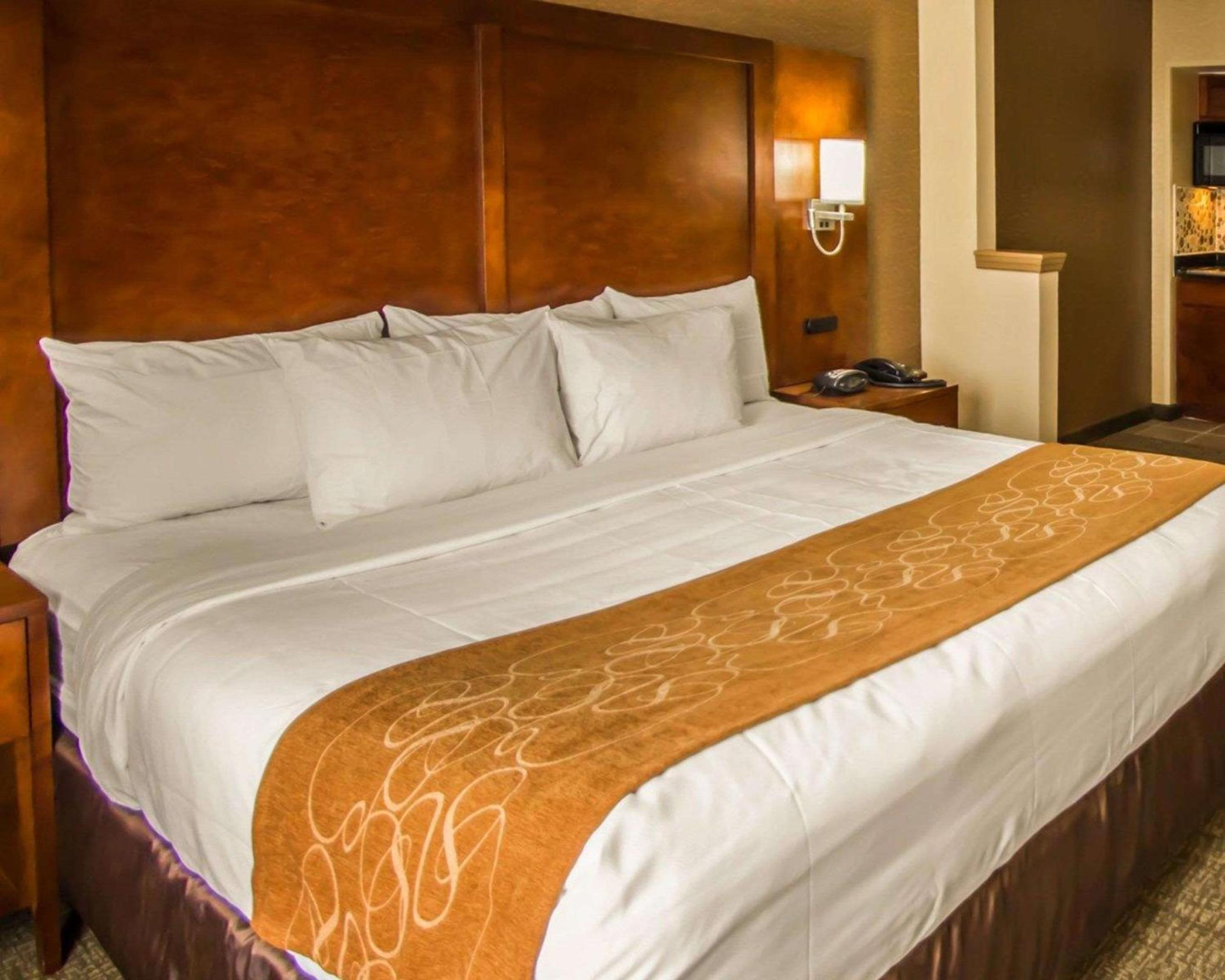 Efficiency King Suite with Kitchenette 