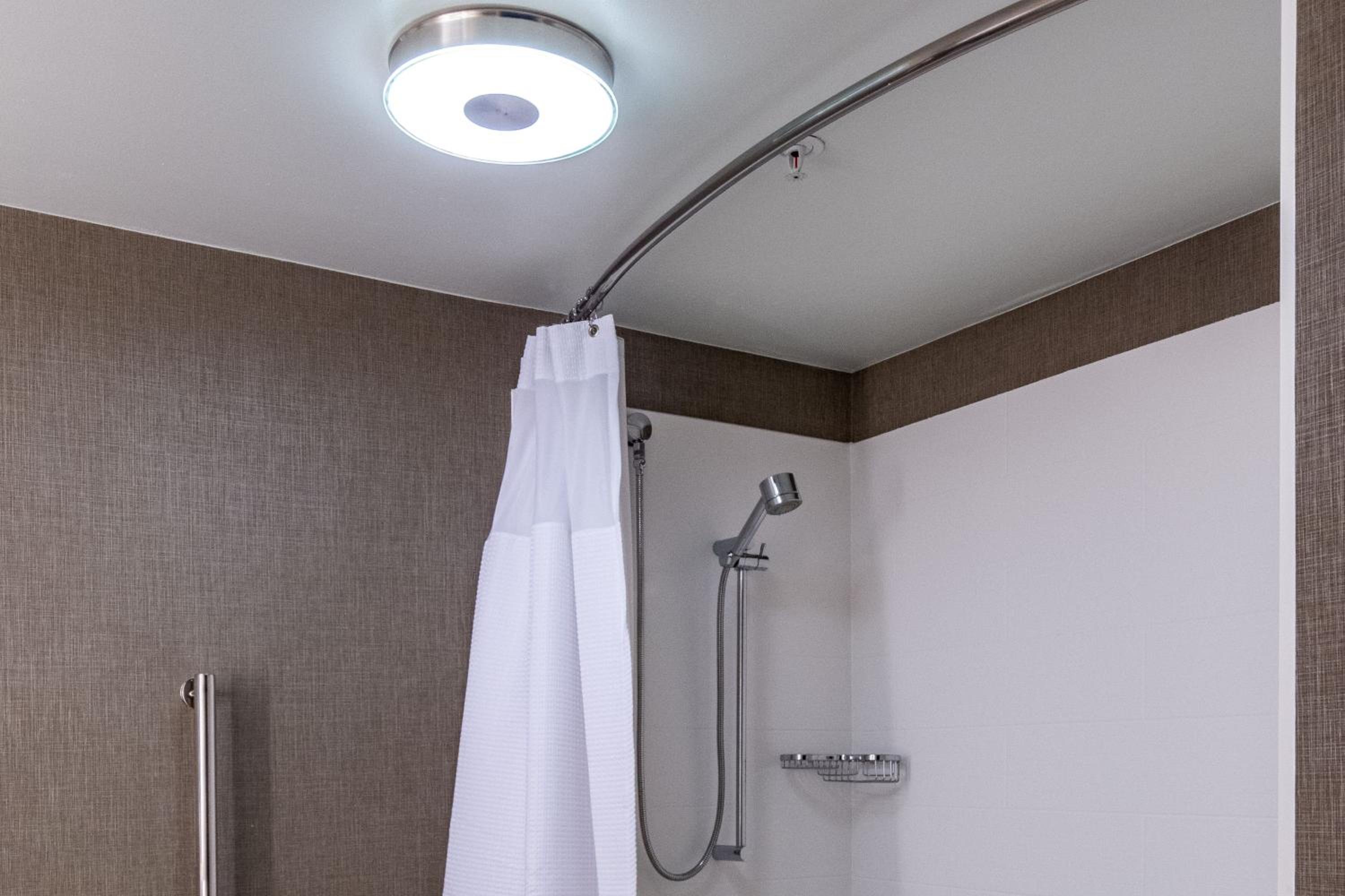 King Suite with Sofa Bed