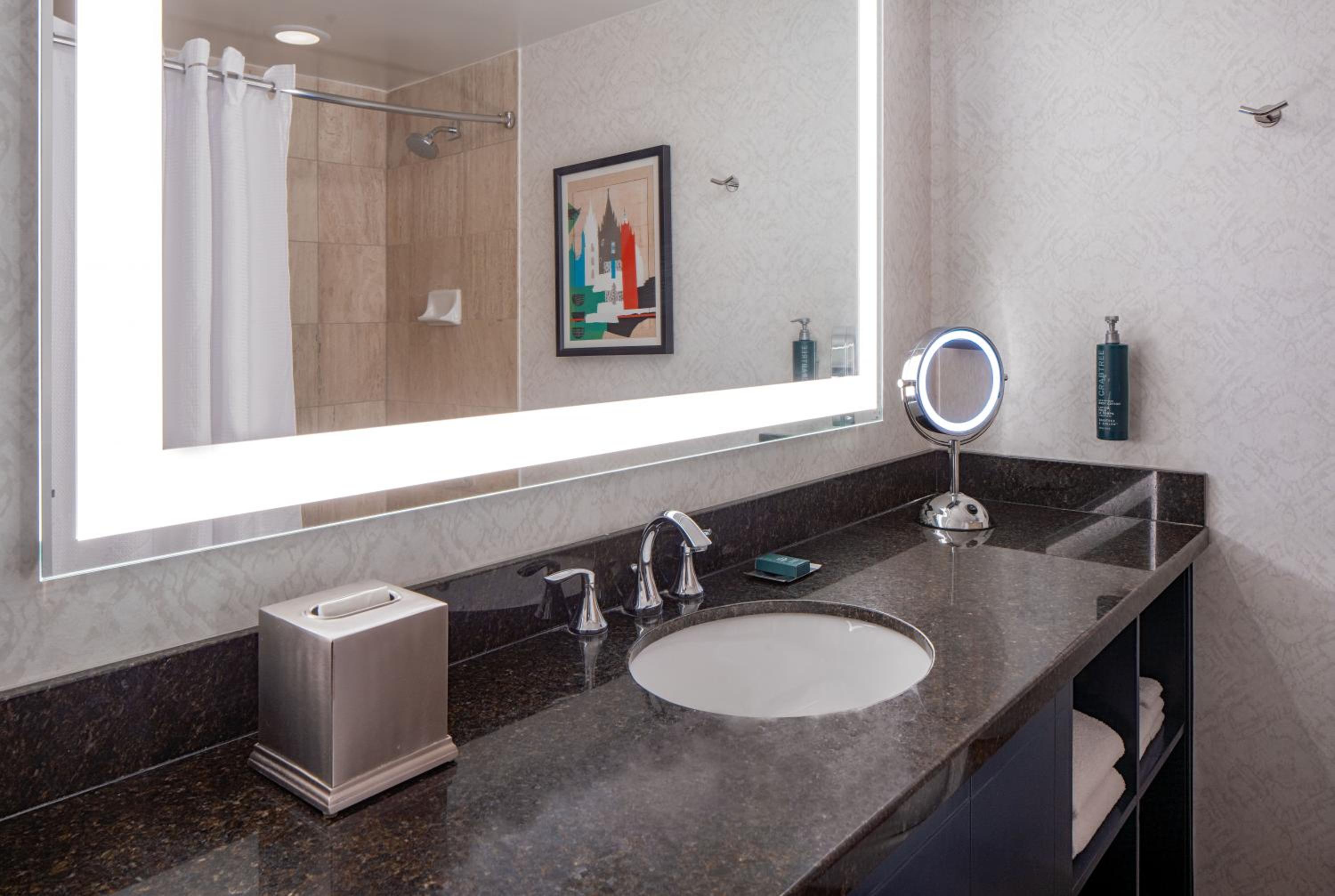 One-Bedroom King Suite with Sofa Bed