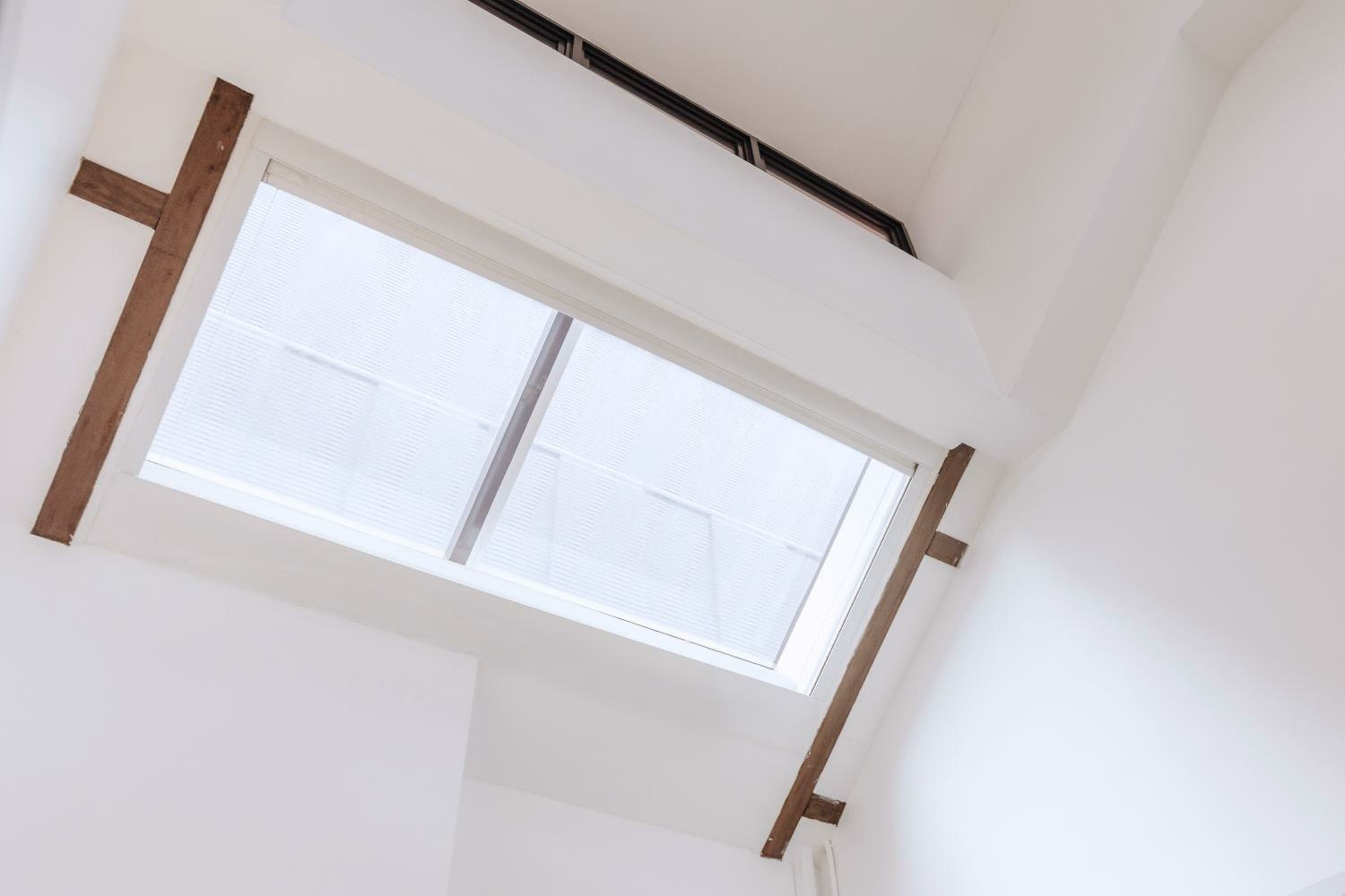 Deluxe King with Skylight & Bathtub