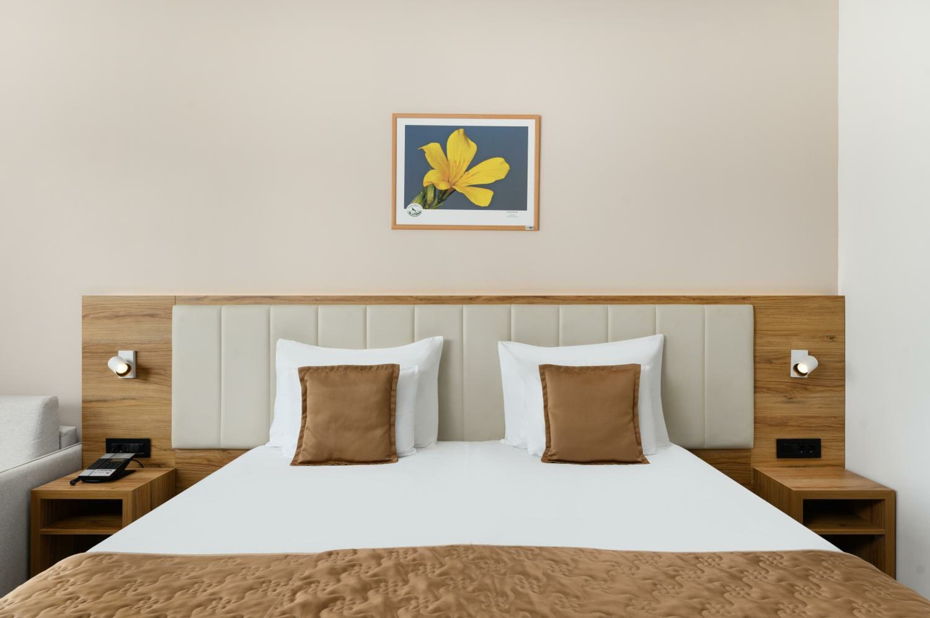 Superior Double Room with One Double Bed and Balcony