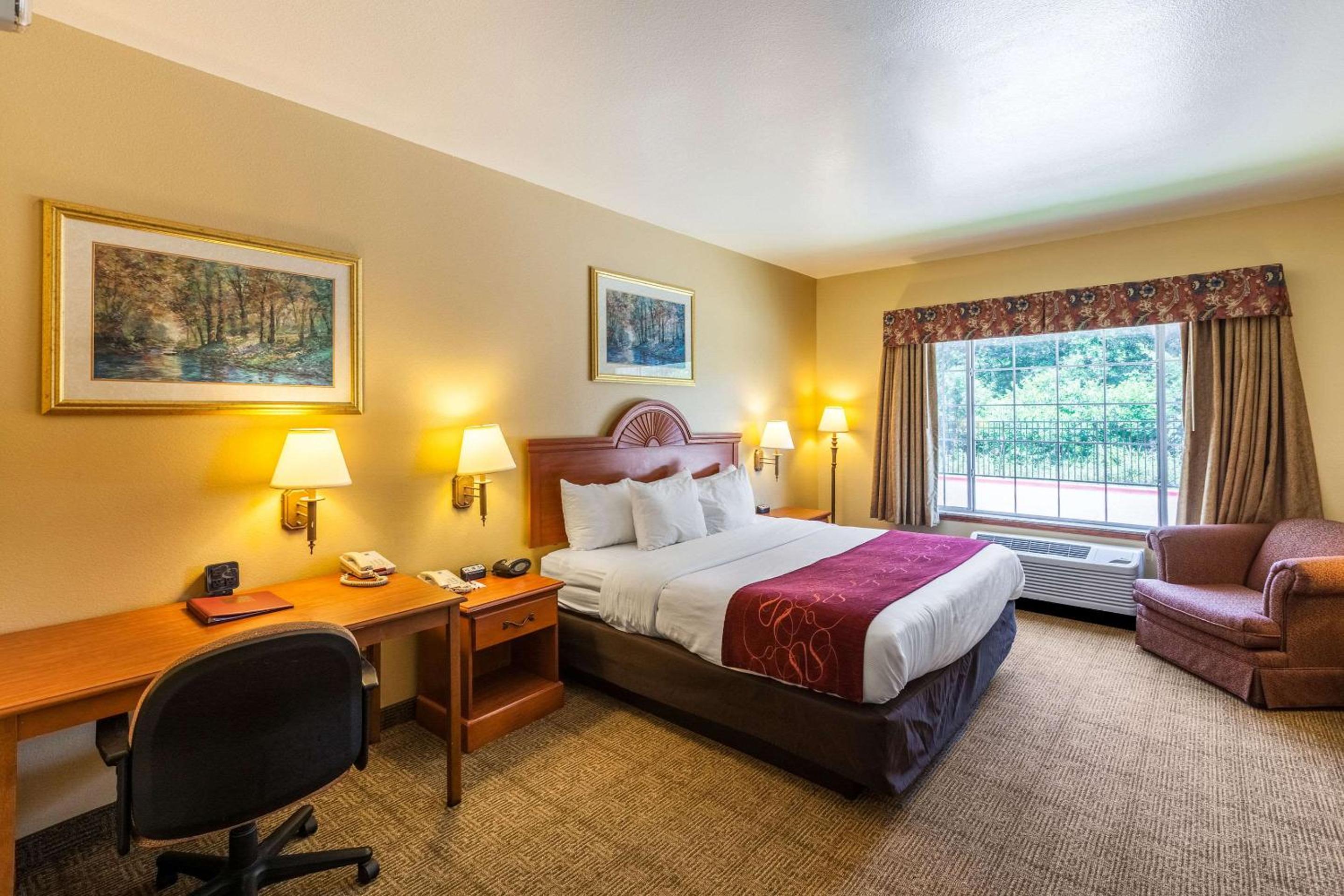 King Room with Roll-in Shower - Disability Access/Non-Smoking