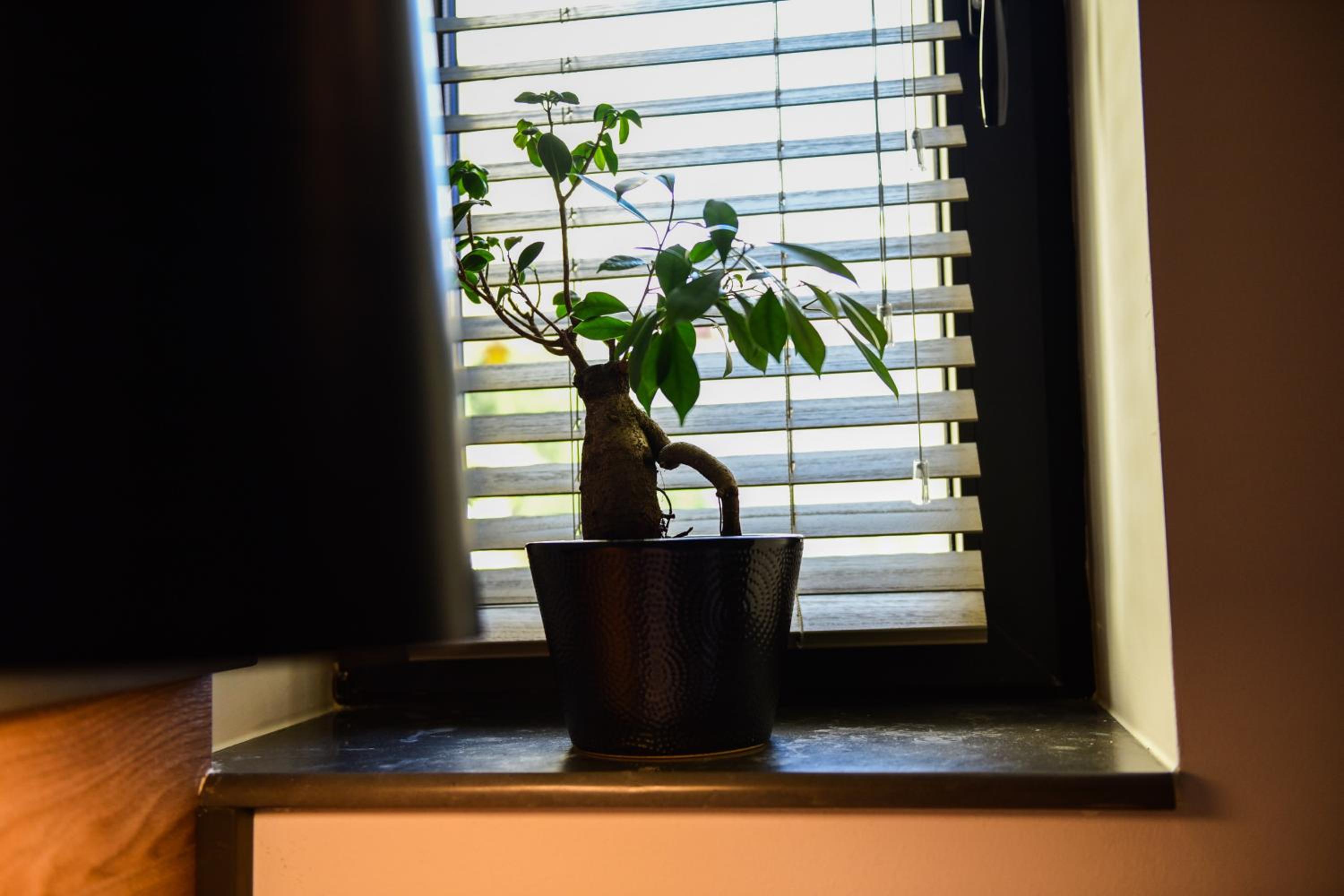 Deluxe Double or Twin Room with Balcony