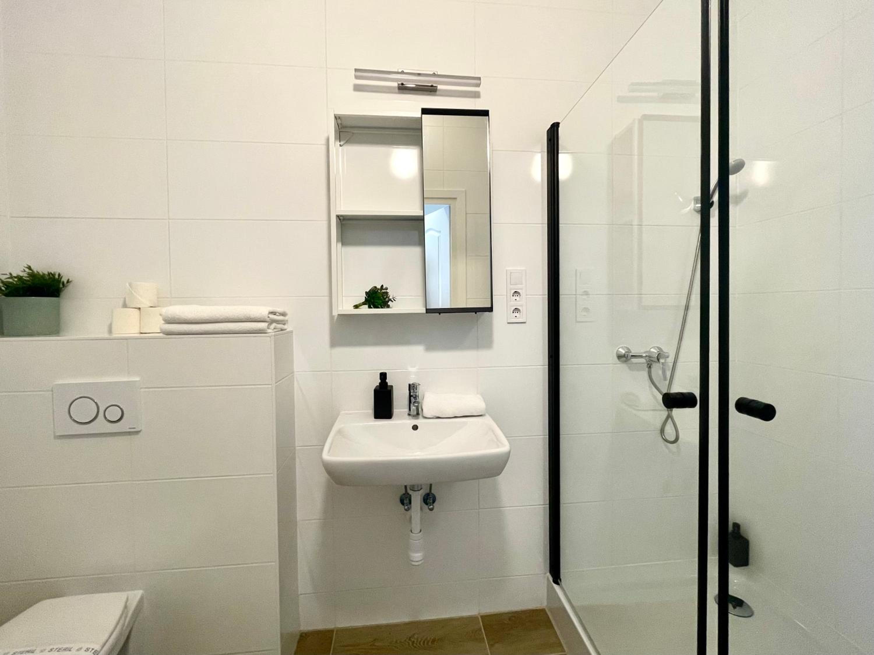 One-Bedroom Deluxe Apartment