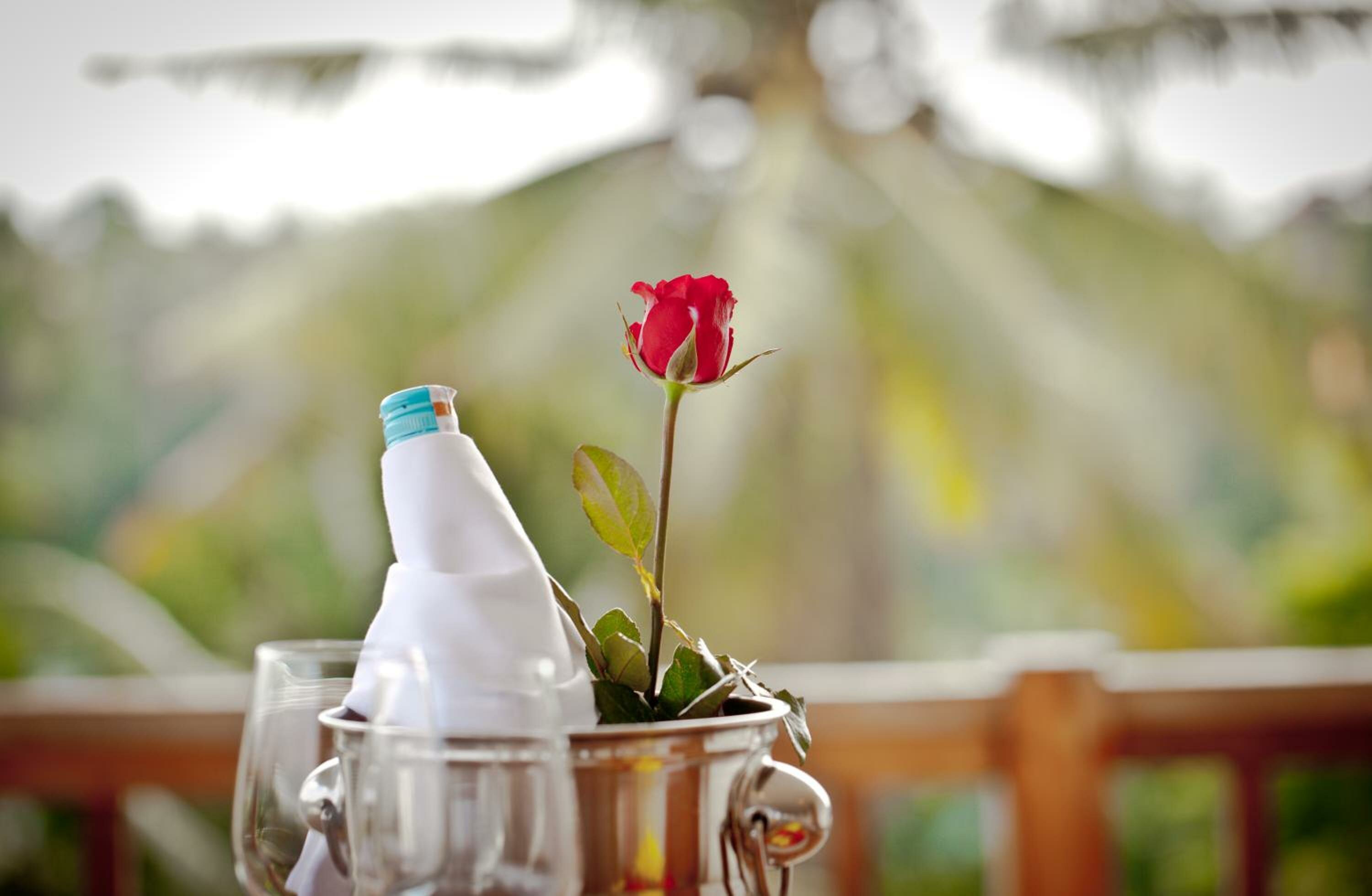 Honeymoon Package at Suite Room