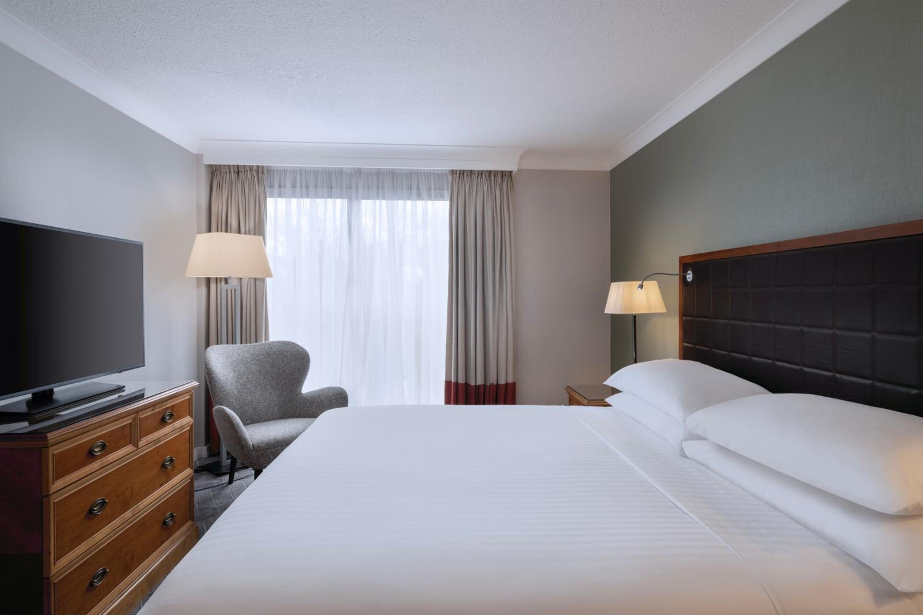 Junior Suite - Executive Lounge Access