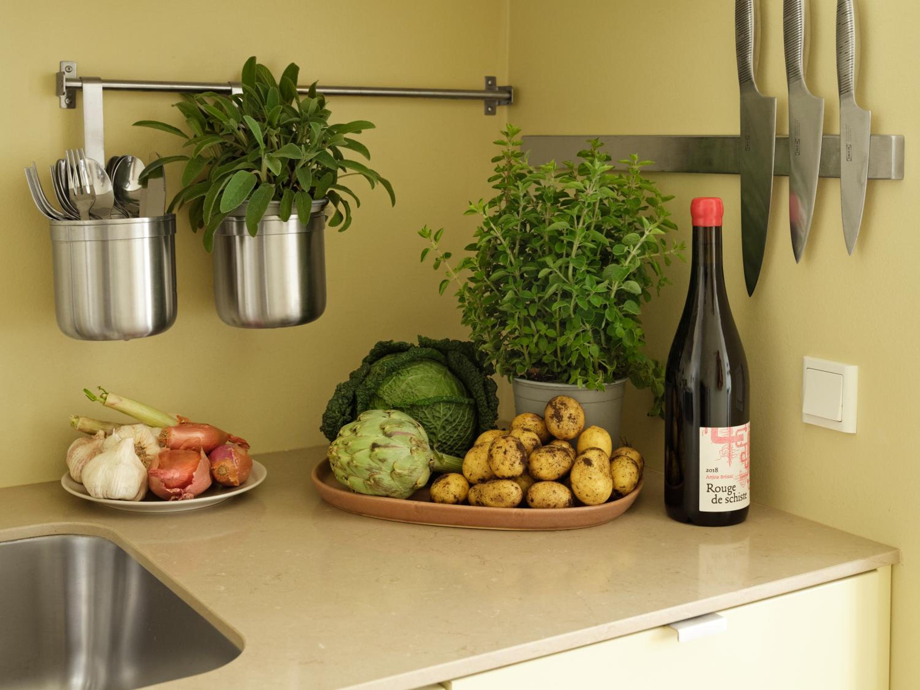 One-Bedroom Apartment (4 Adults)