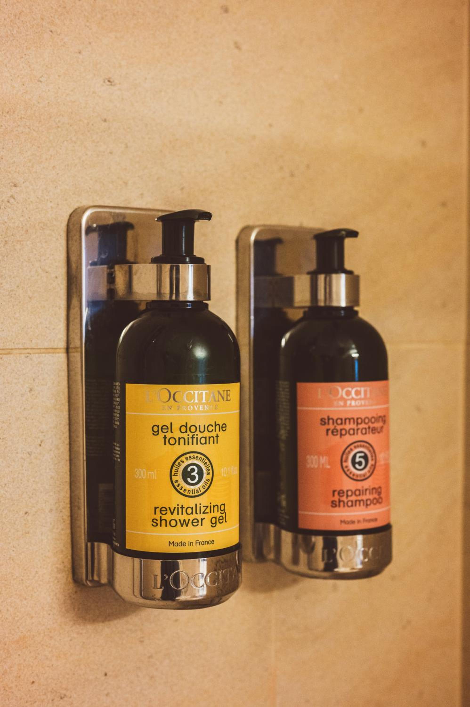 Family Suite Standard