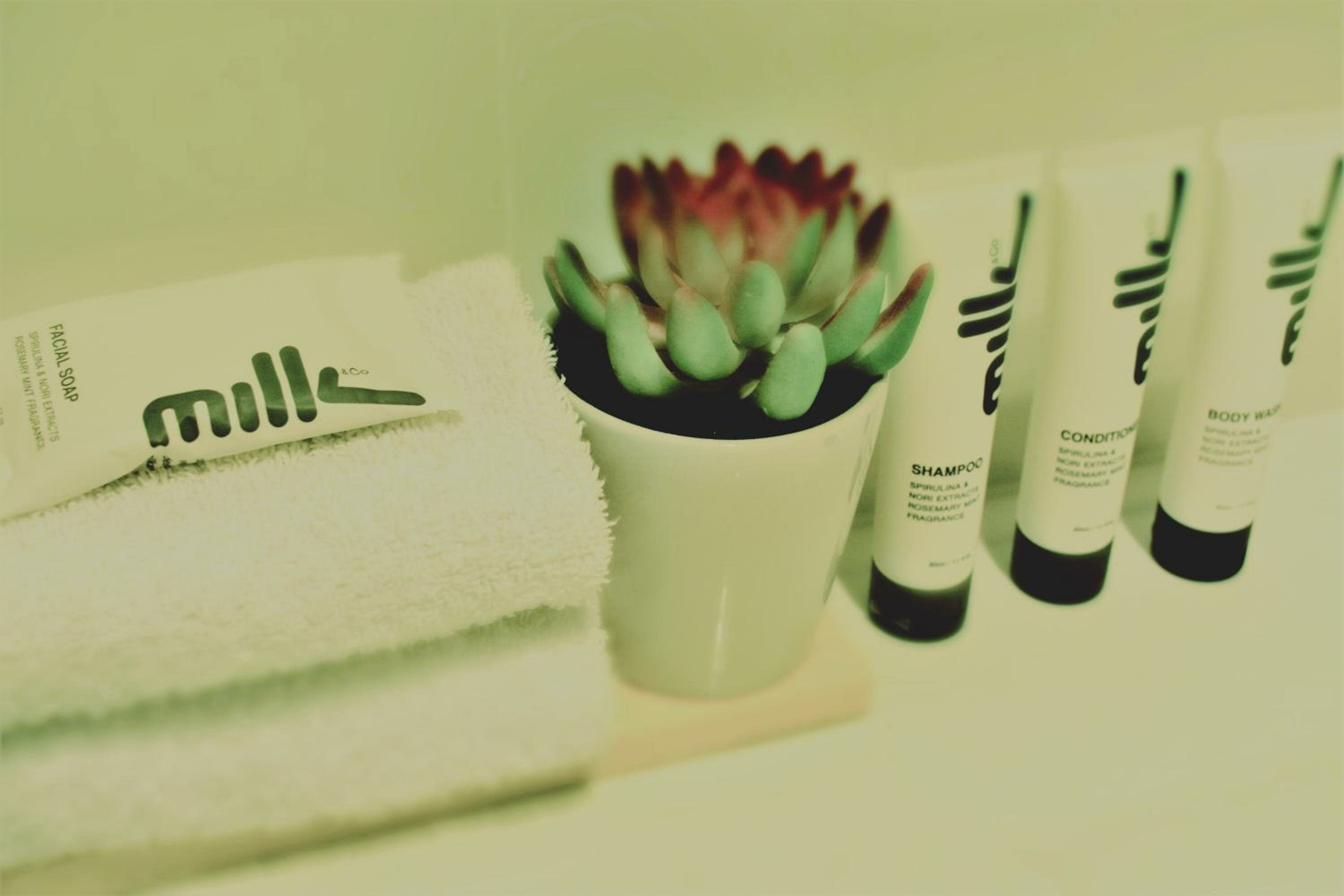 Executive One-Bedroom Apartment