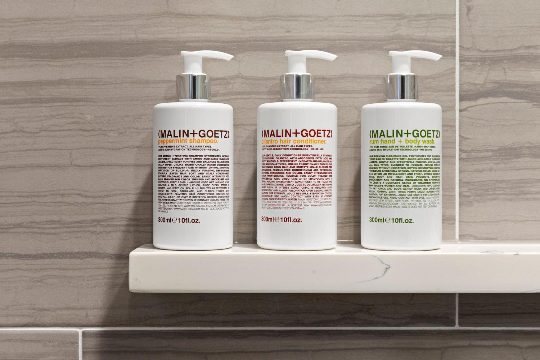 One-Bedroom Suite with Sofa Bed