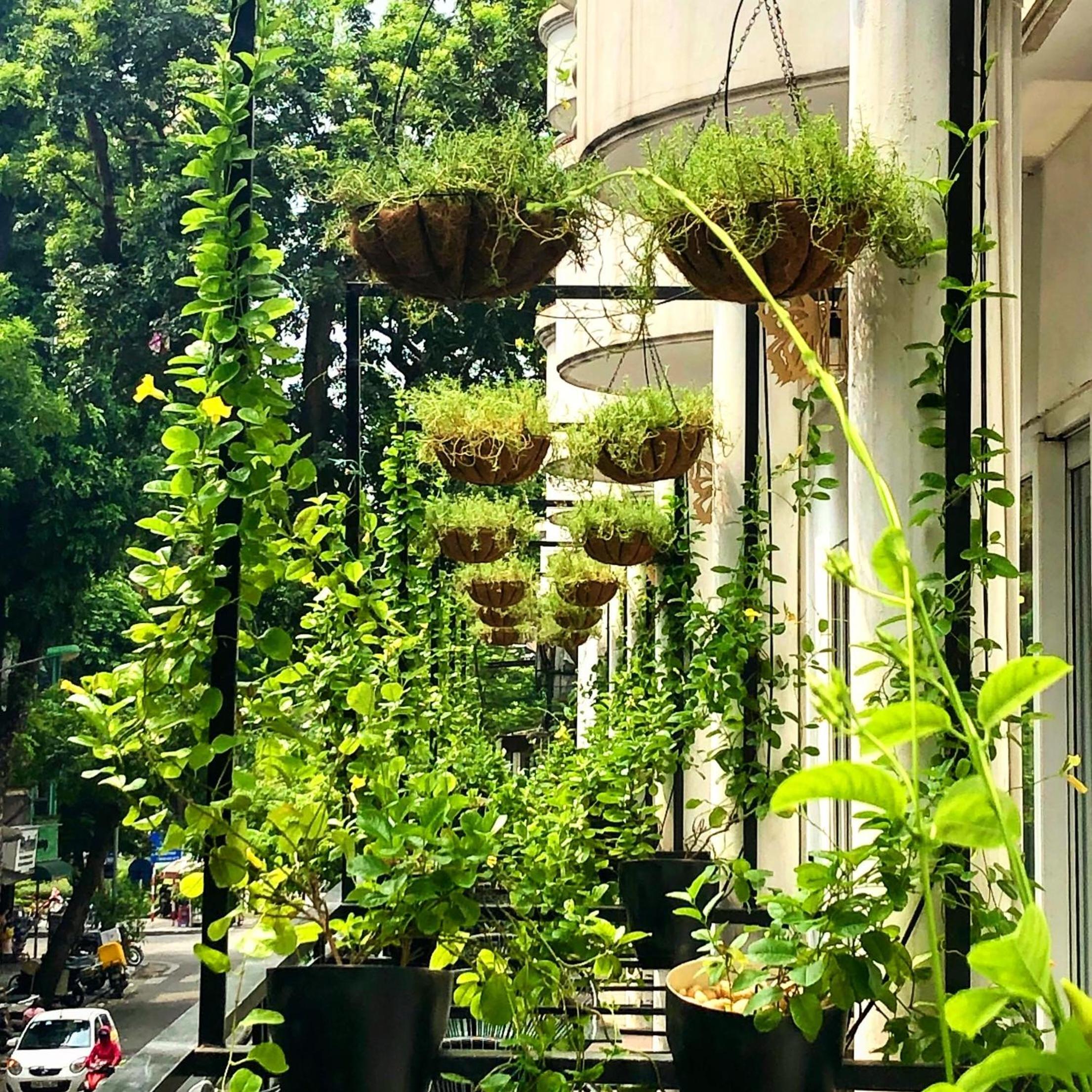 Deluxe Double or Twin Room with City View