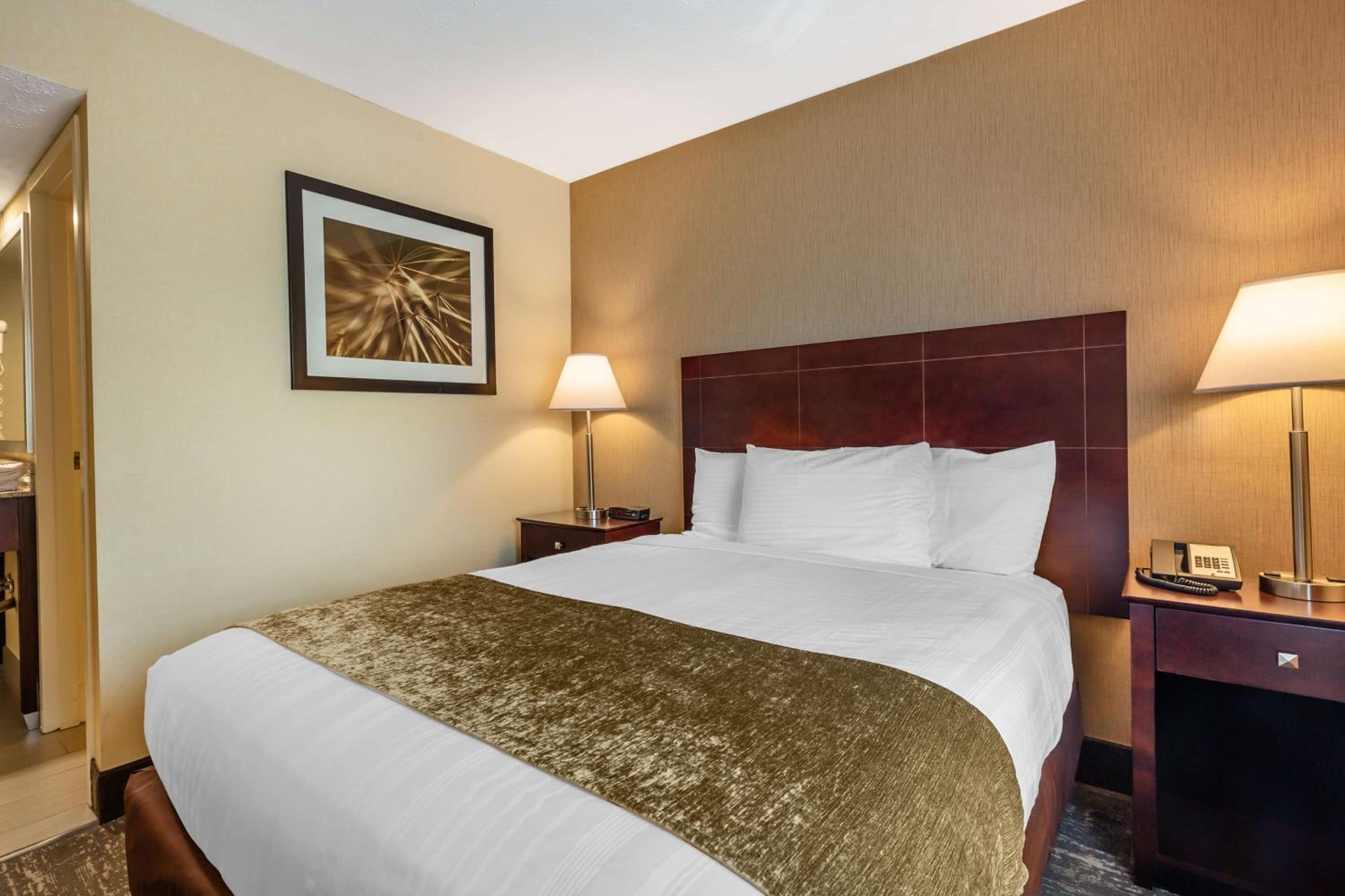 Queen Room - Non-Smoking