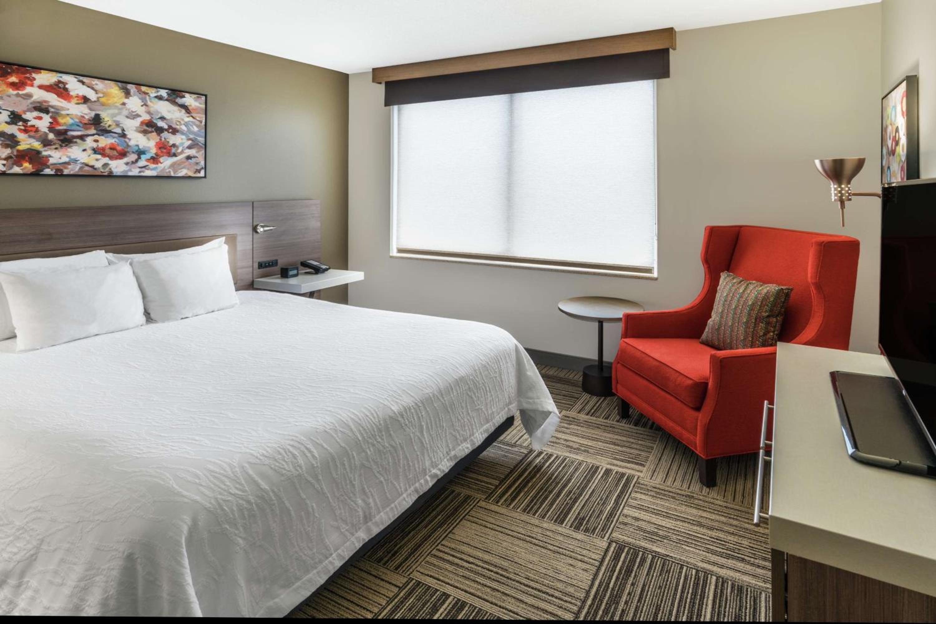 Junior King Suite with Sofa Bed - Non-Smoking