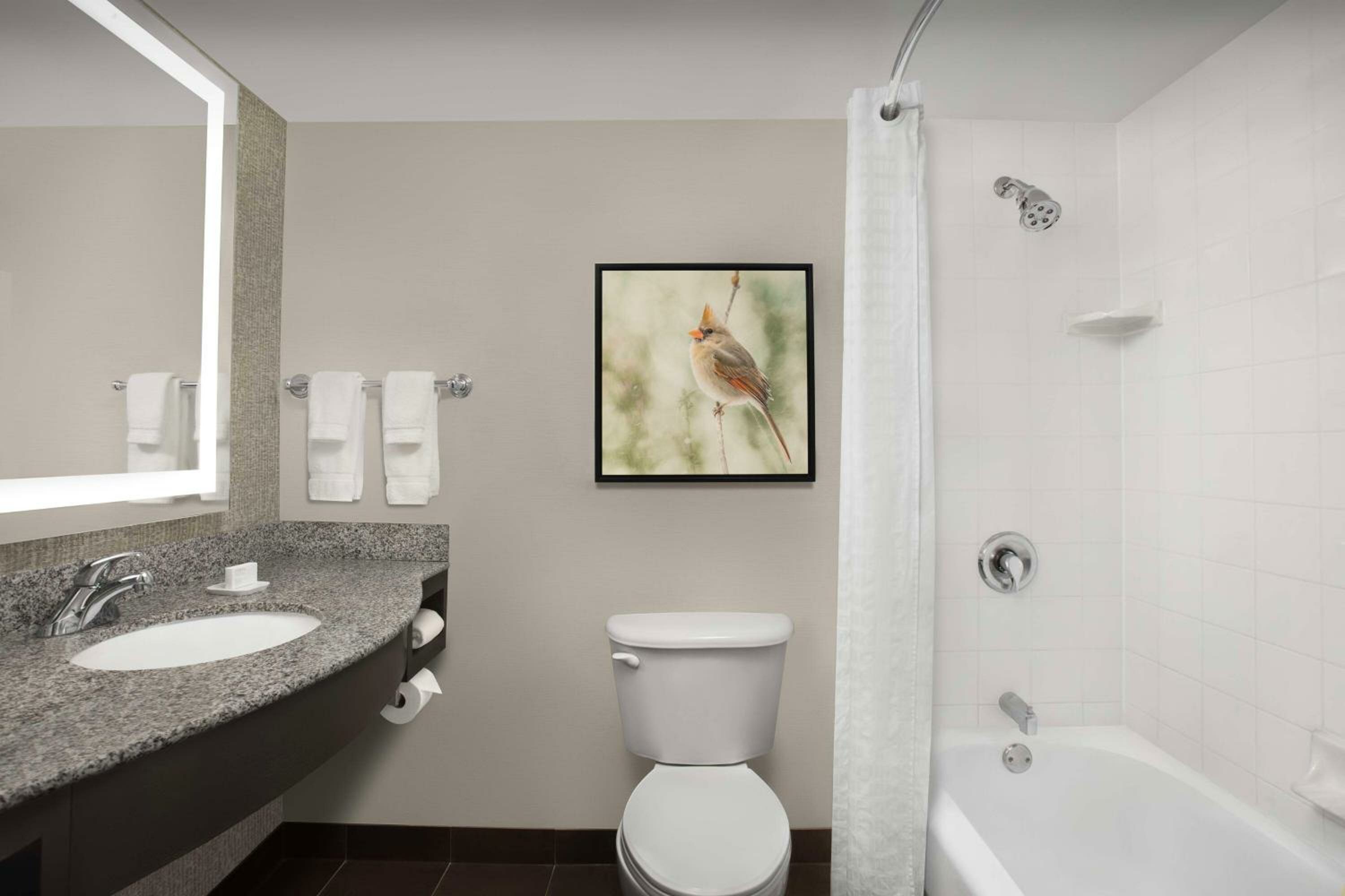 King Room with Shower/Tub